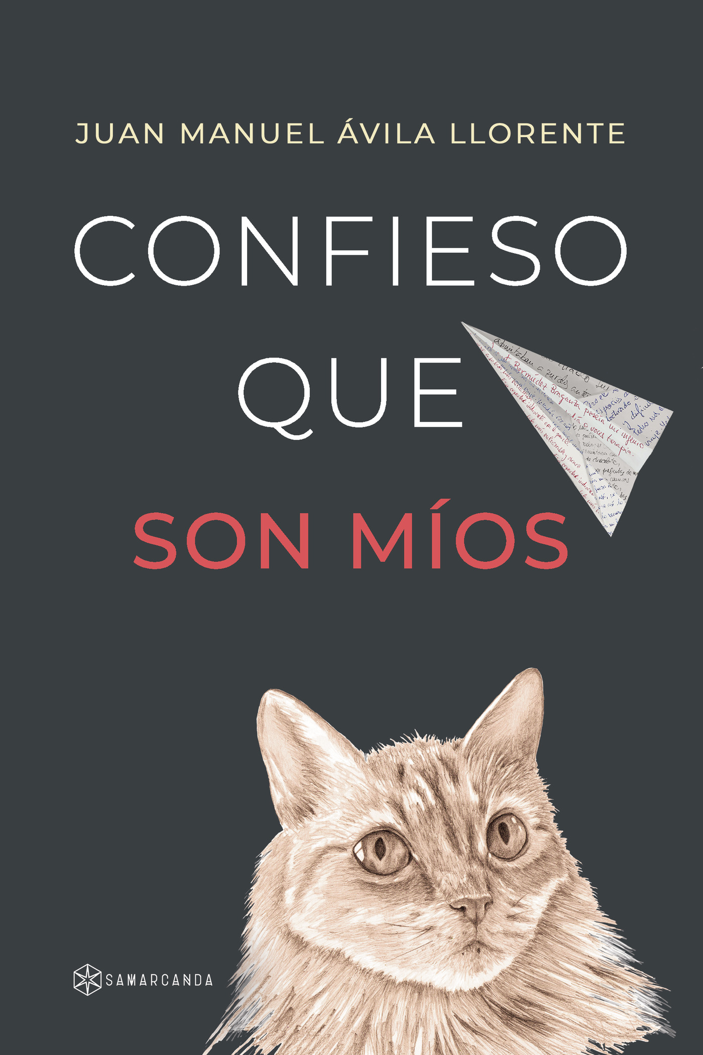 Portada de Confieso que son míos · Juan Manuel Ávila Llorente