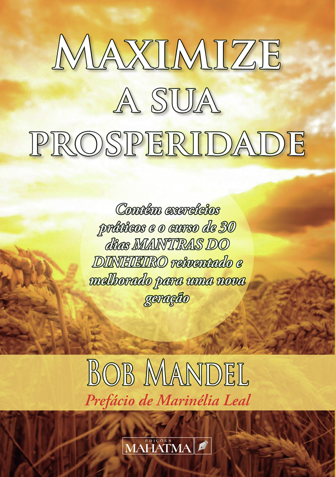 Portada de Maximize a sua prosperidade