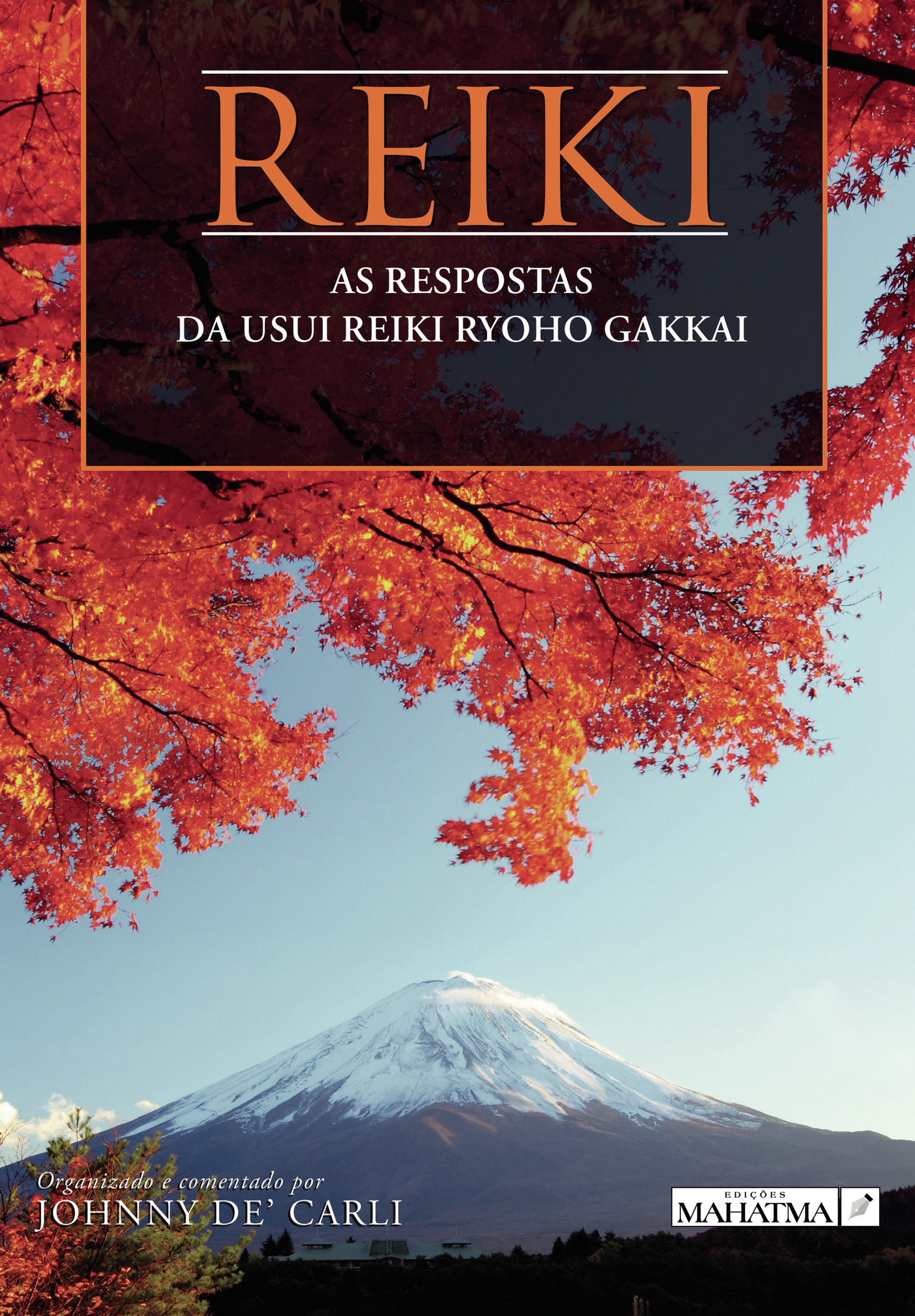 Portada de REIKI - AS RESPOSTAS DA USUI REIKI RYOHO GAKKAI