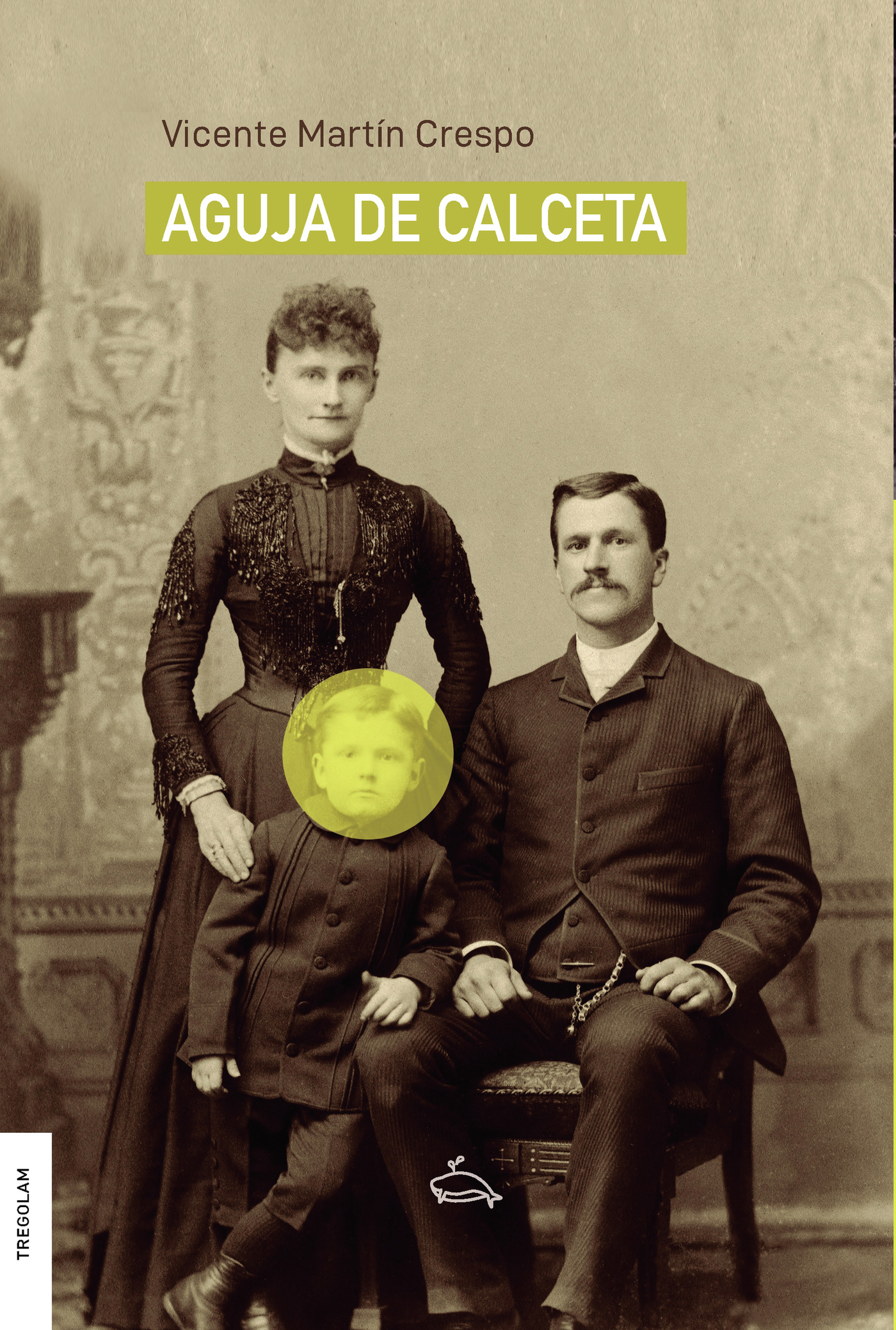 Portada de Aguja de calceta