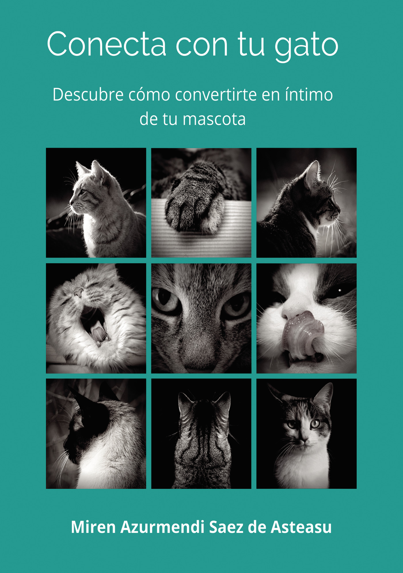 Portada de Conecta con tu gato