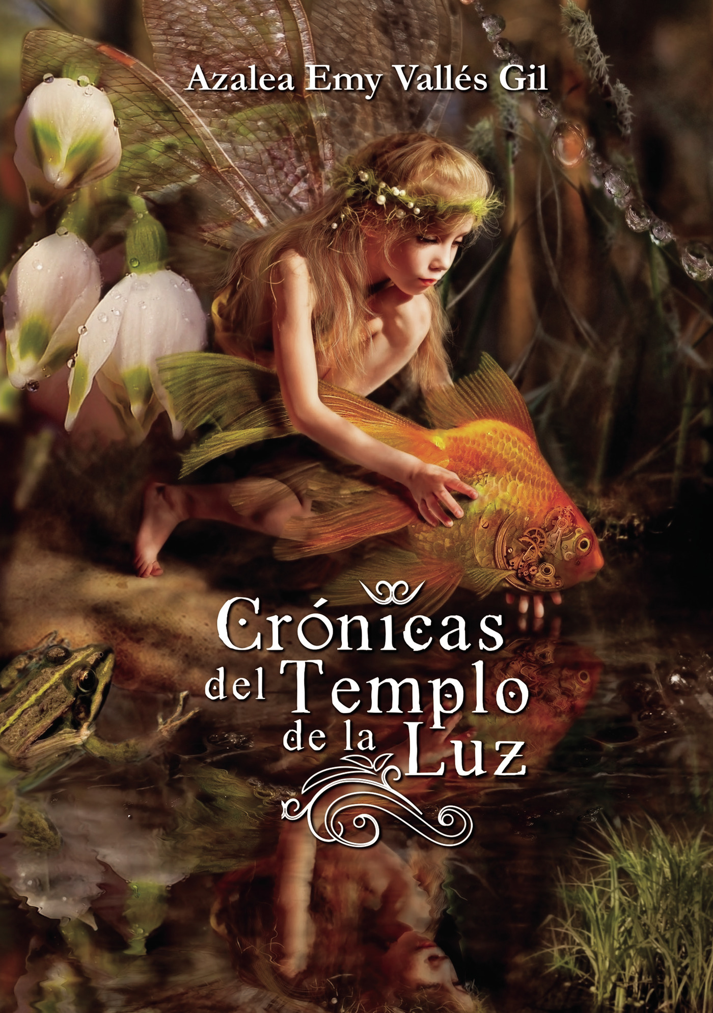 Portada de Crónicas del templo de la luz
