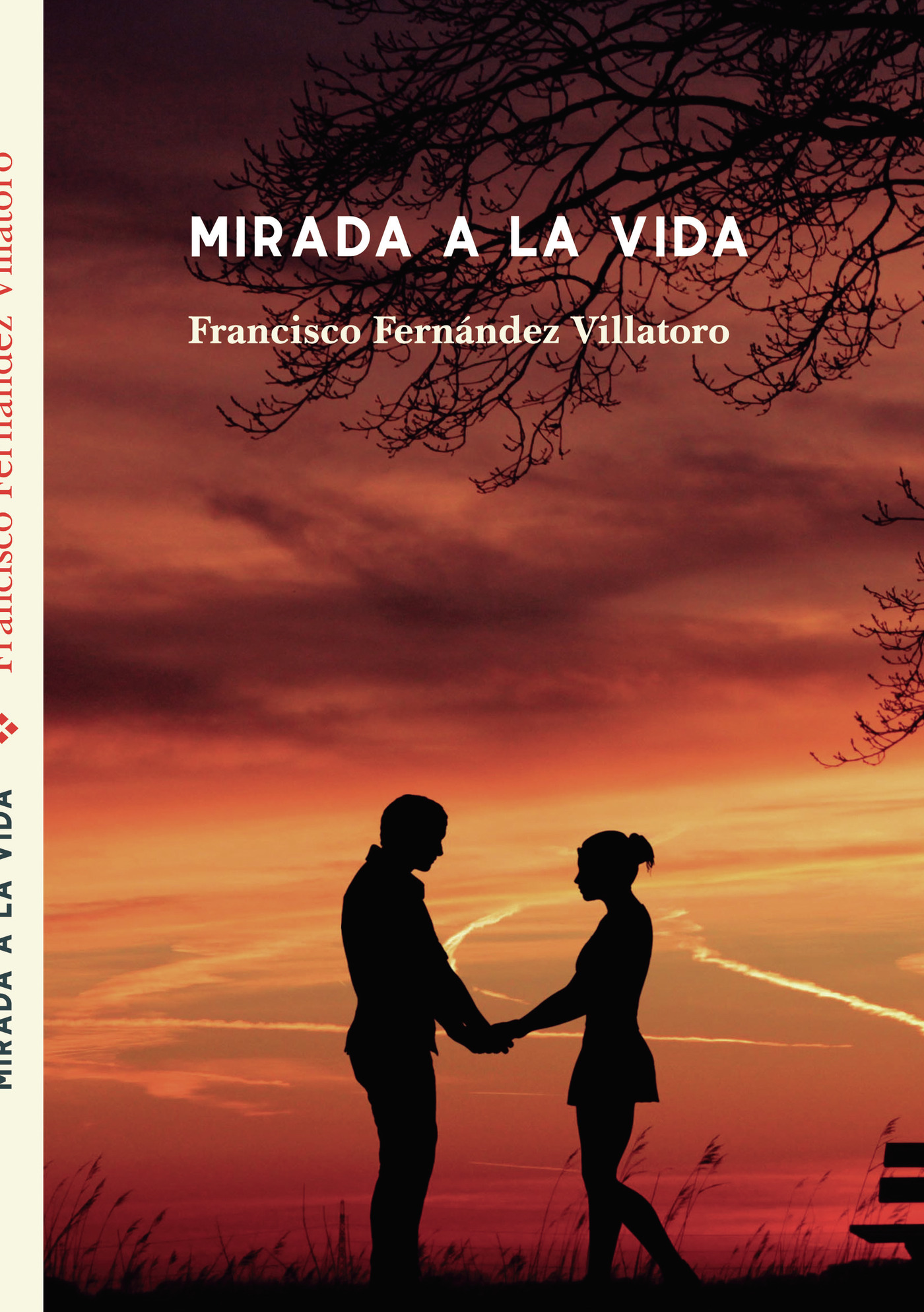 Portada de Mirada a la vida