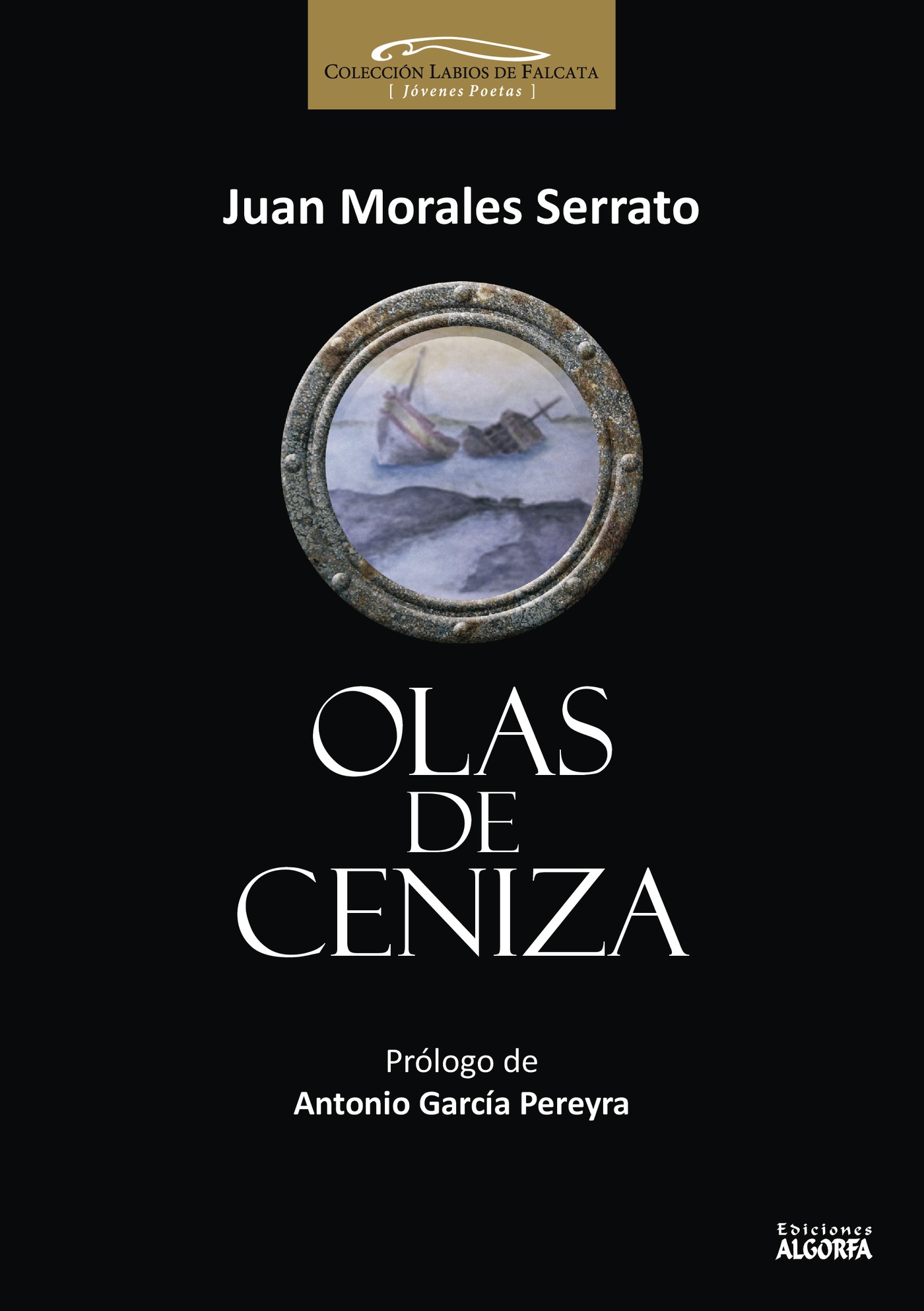 Portada de Olas de ceniza