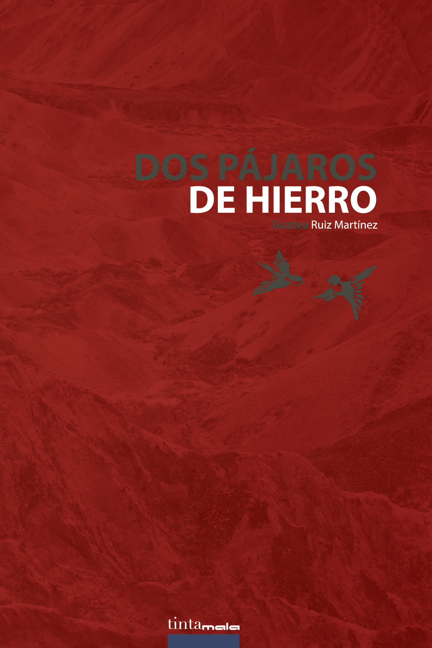 Portada de Dos pájaros de hierro