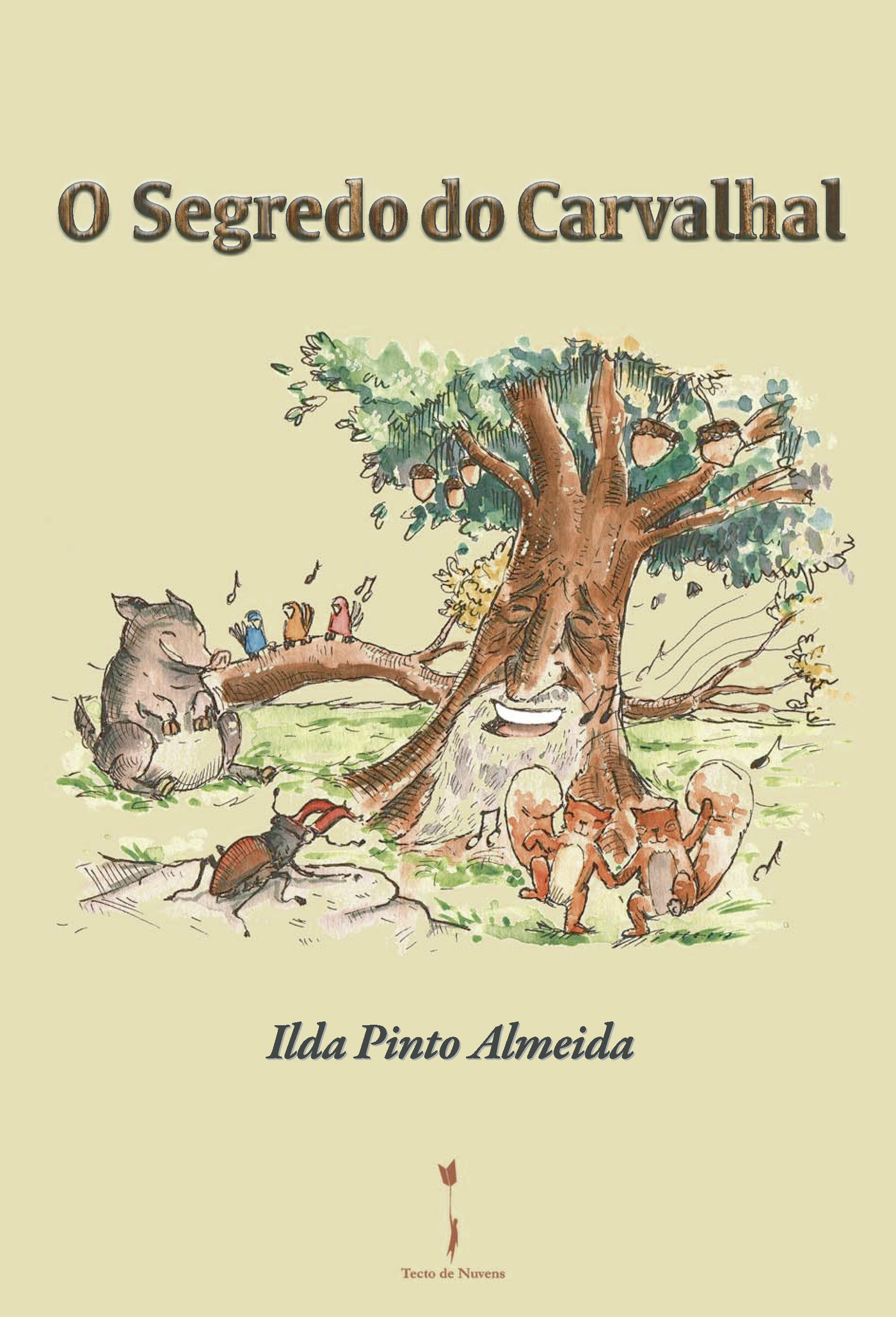 Portada de O Segredo do Carvalhal