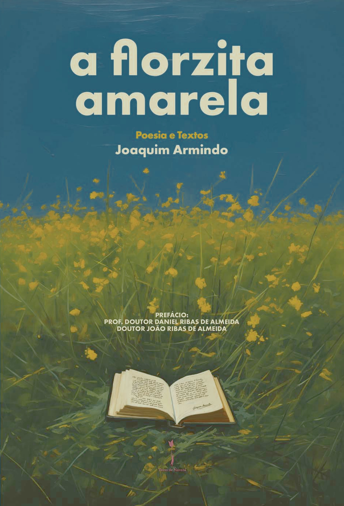 Portada de a florzita amarela