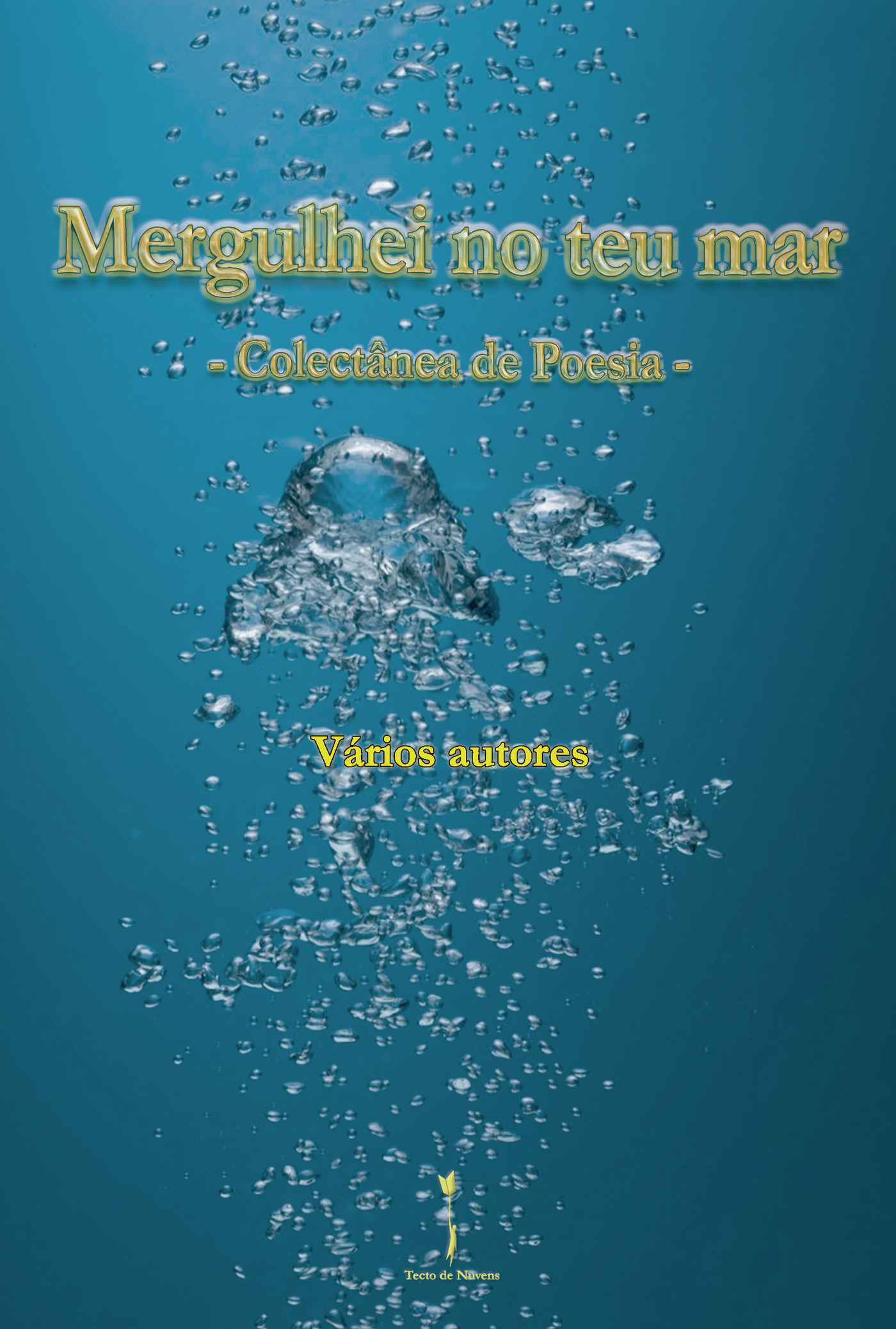 Portada de Mergulhei no teu mar
