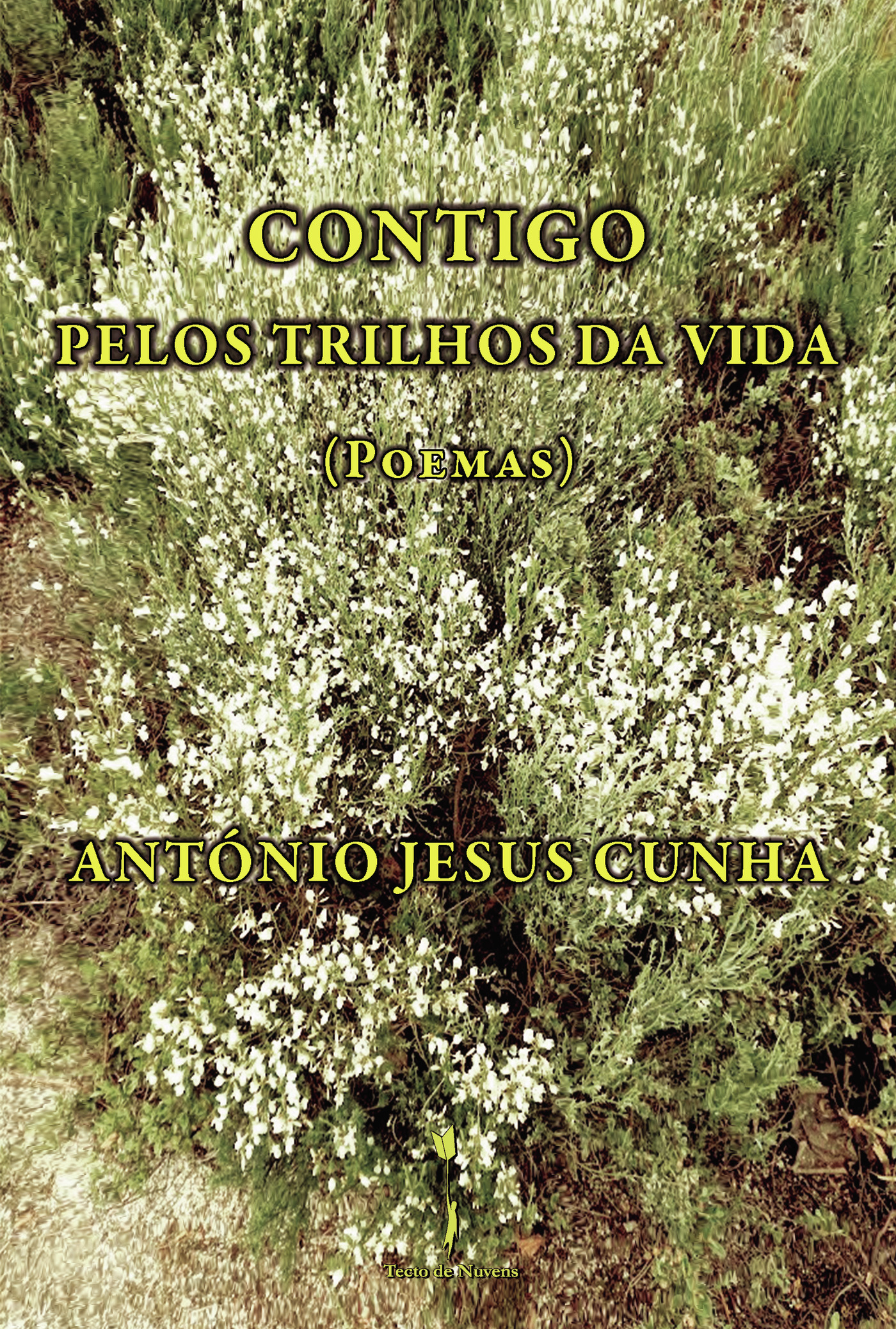 Portada de CONTIGO