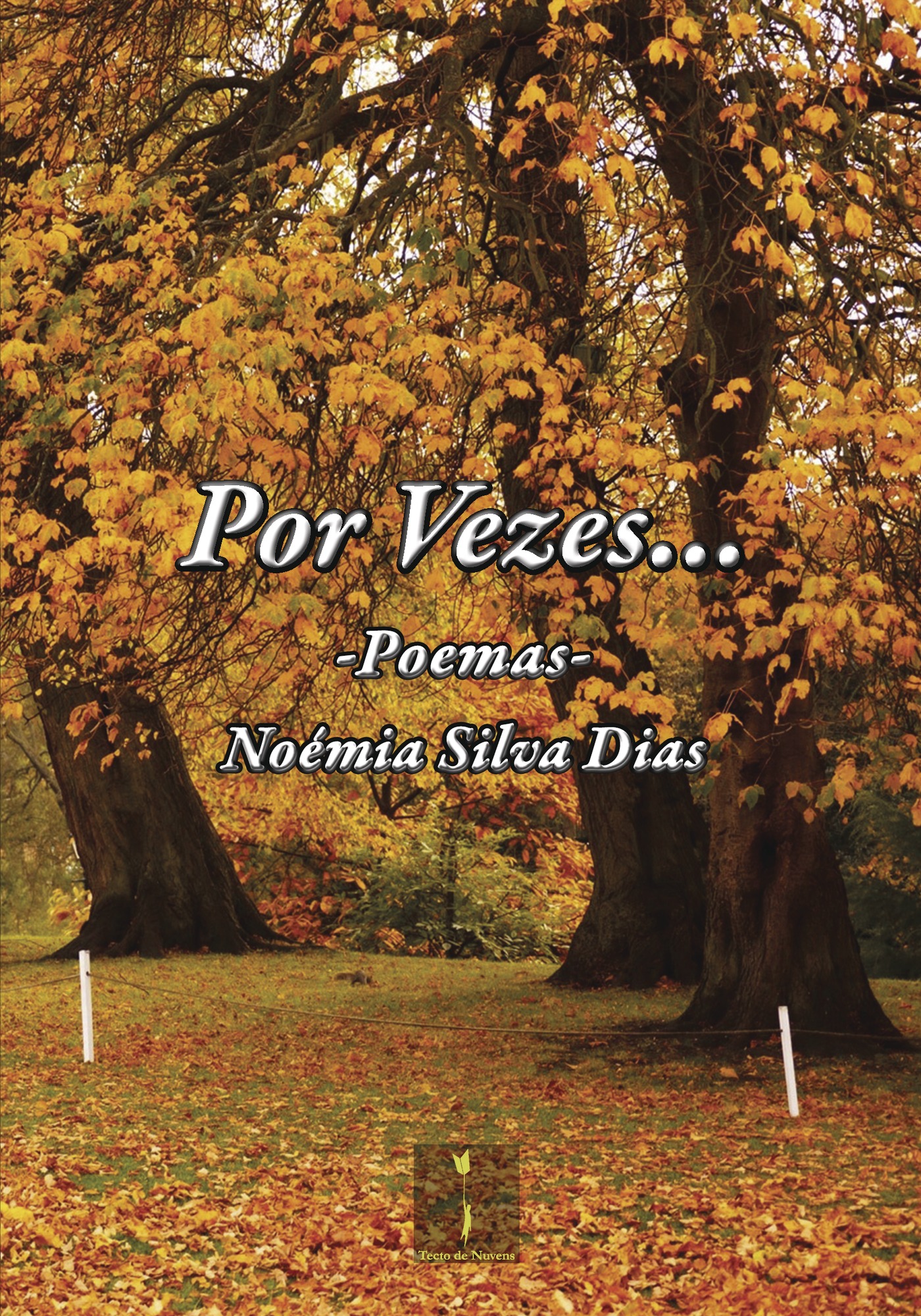 Portada de Por Vezes...