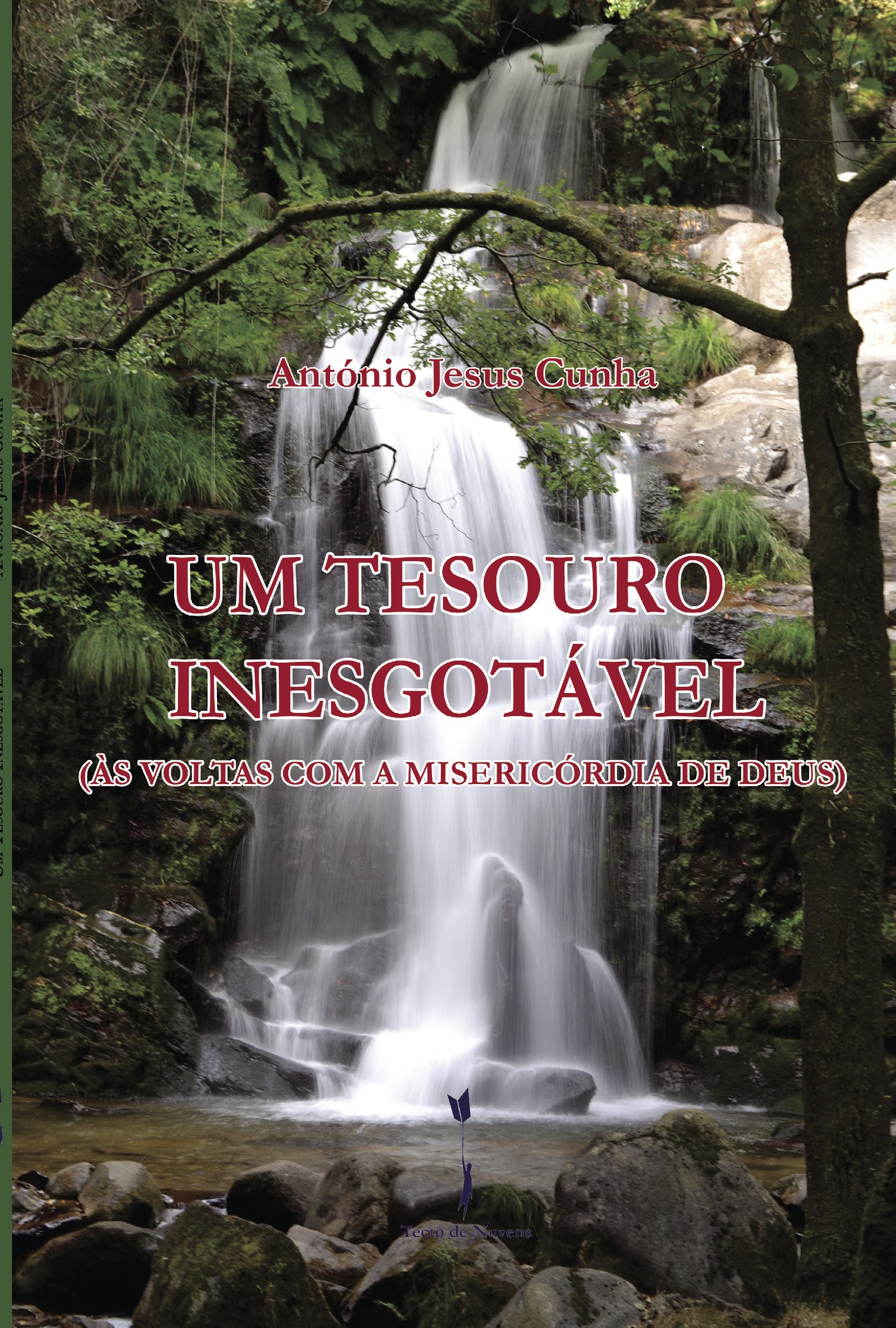Portada de Um Tesouro Inesgotável