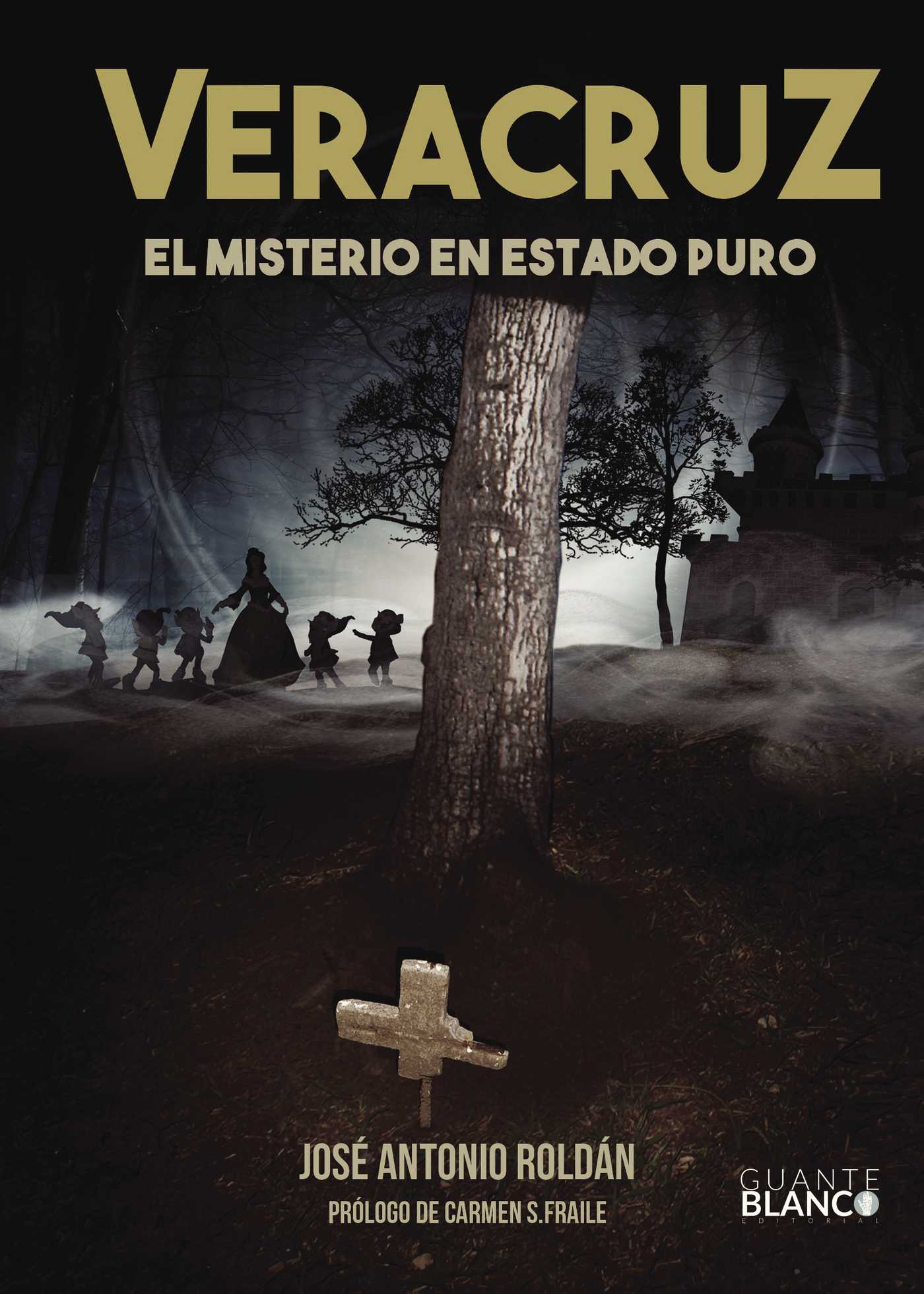 Portada de VERACRUZ EL MISTERIO EN ESTADO PURO