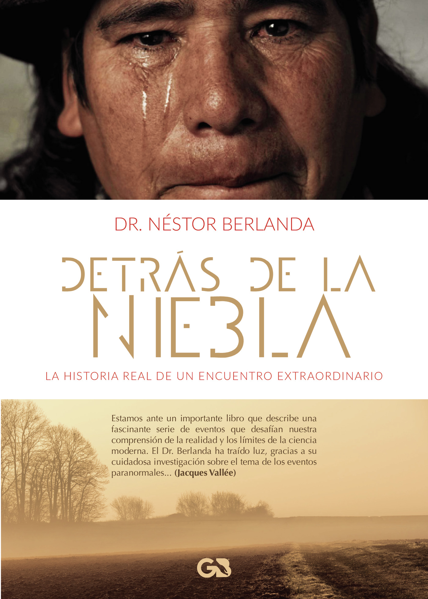 Portada de Detrás de la niebla