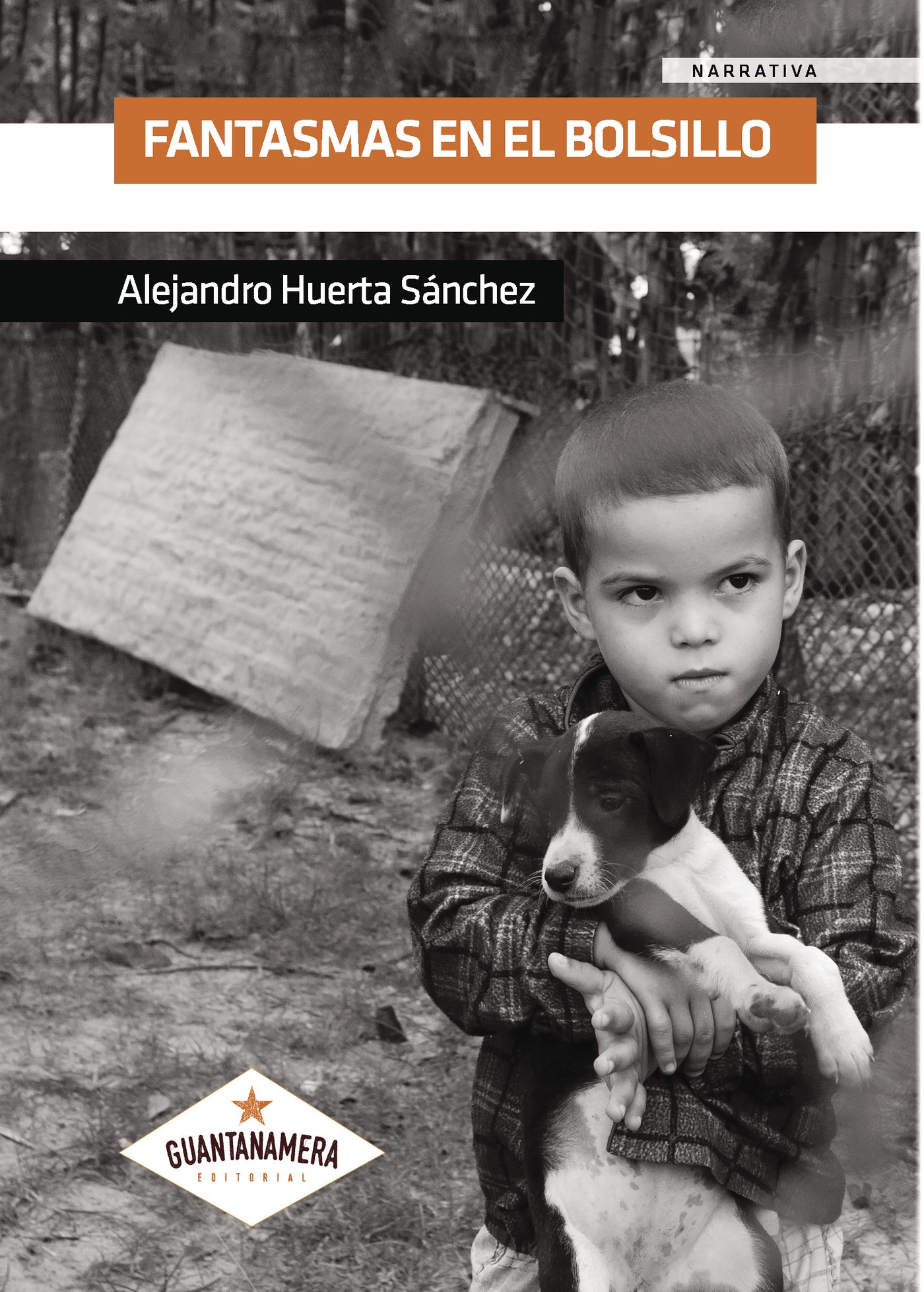 Portada de Fantasmas en el bolsillo