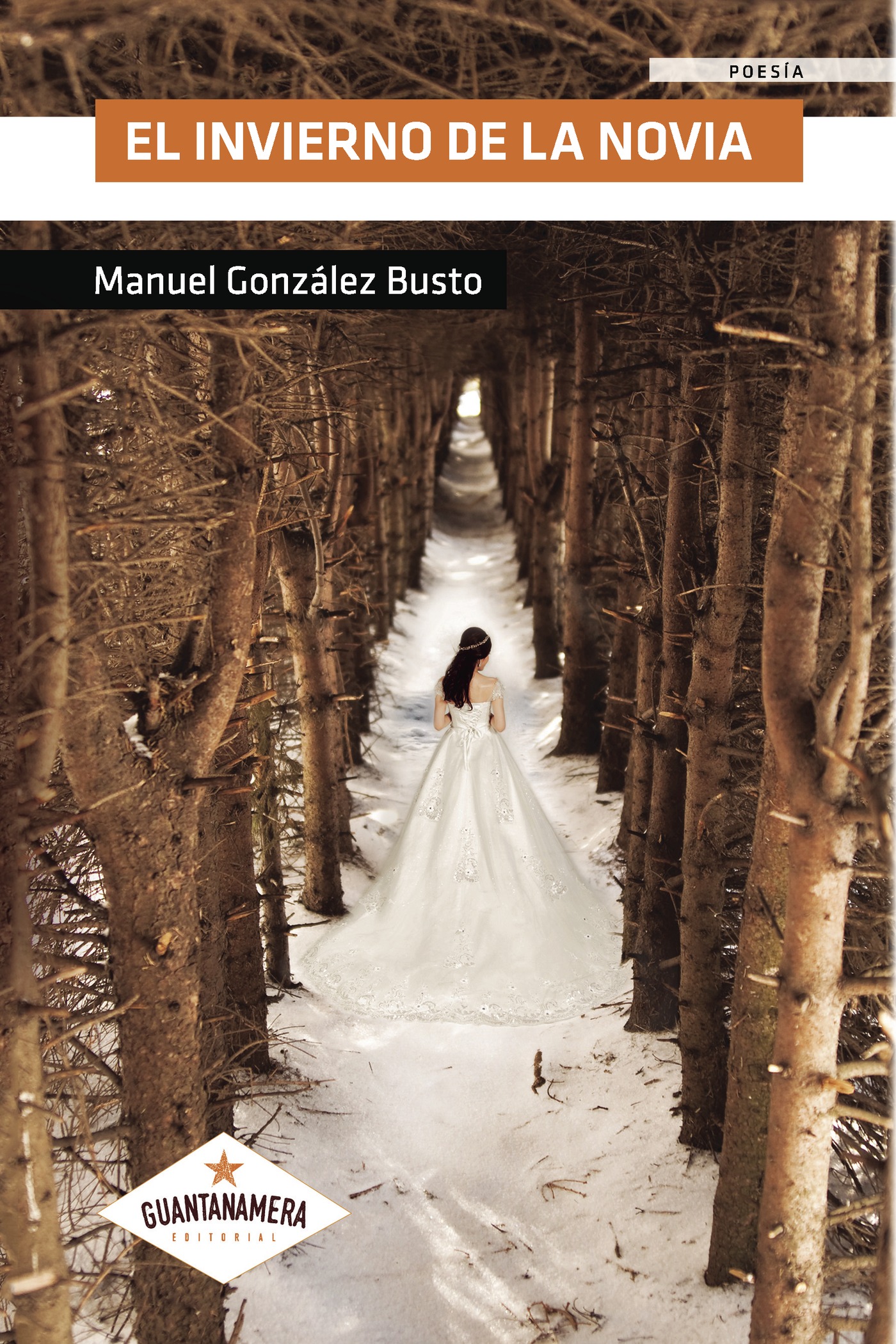 Portada de El invierno de la novia