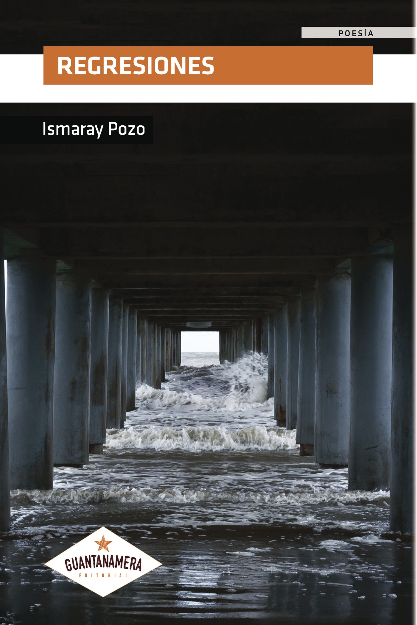 Portada de Regresiones · Ismaray Pozo