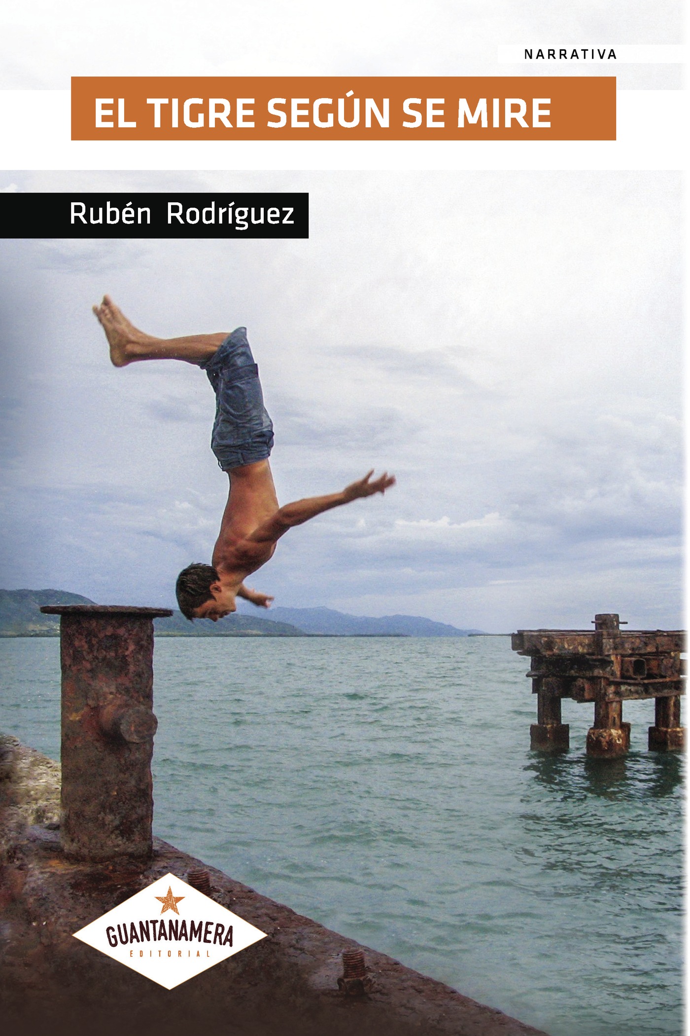 Portada de El tigre según se mire · Rubén Rodríguez