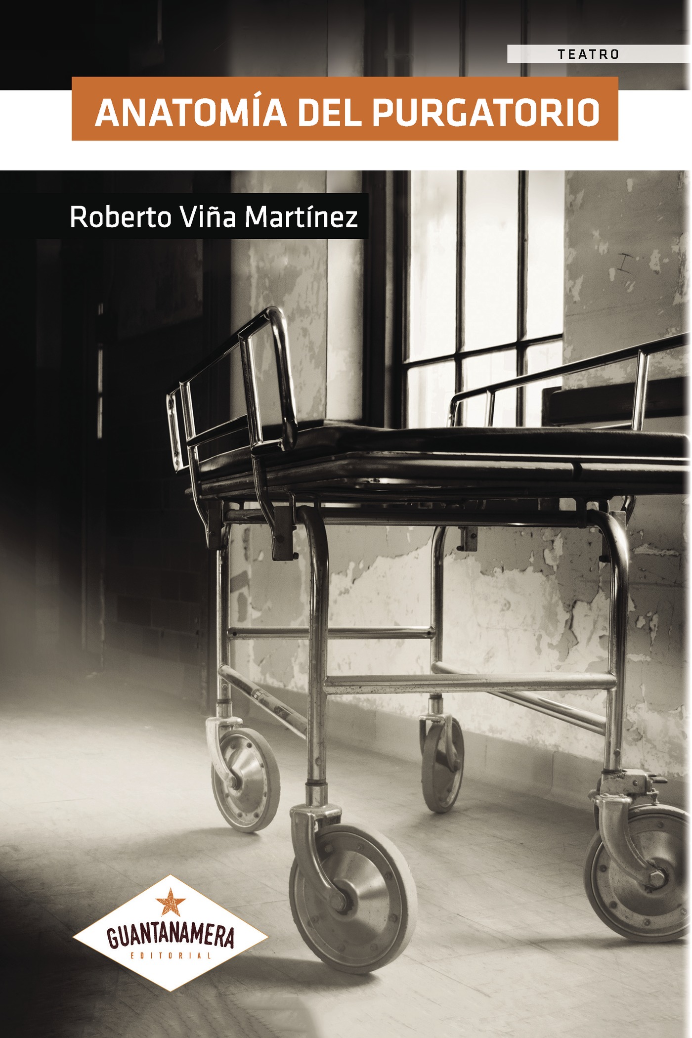Portada de Anatomía del purgatorio
