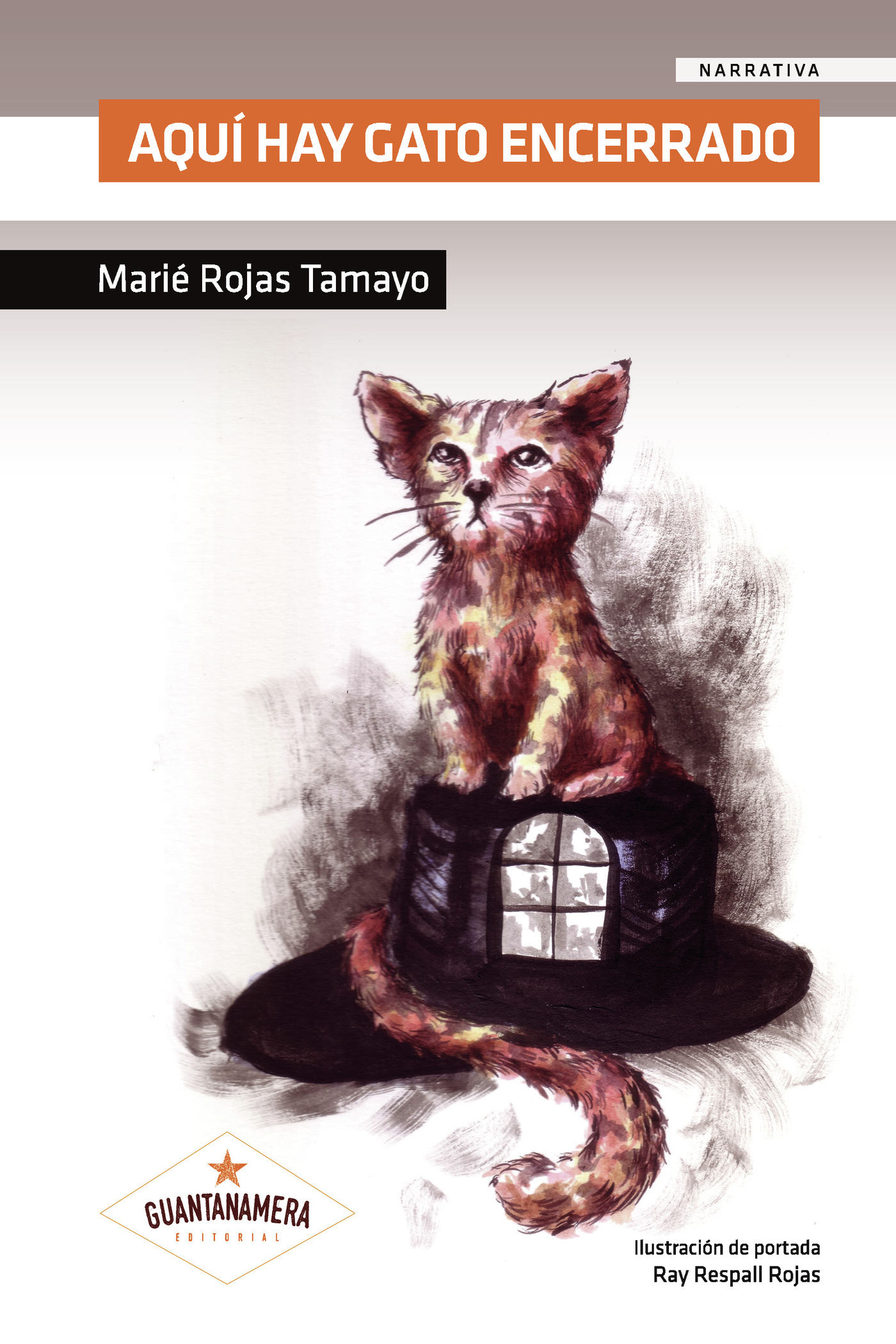 Portada de Aquí hay gato encerrado