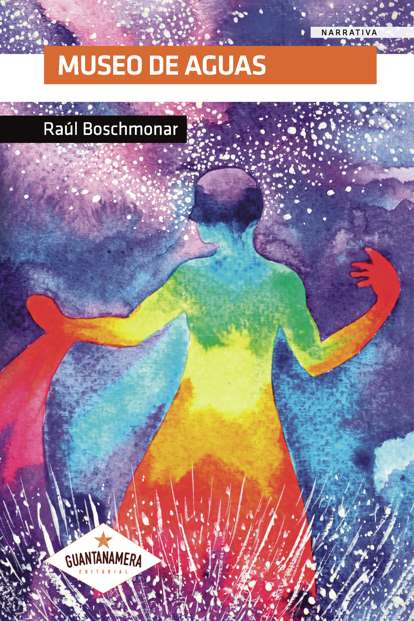 Portada de Museo de Aguas · Raúl Boschmonar