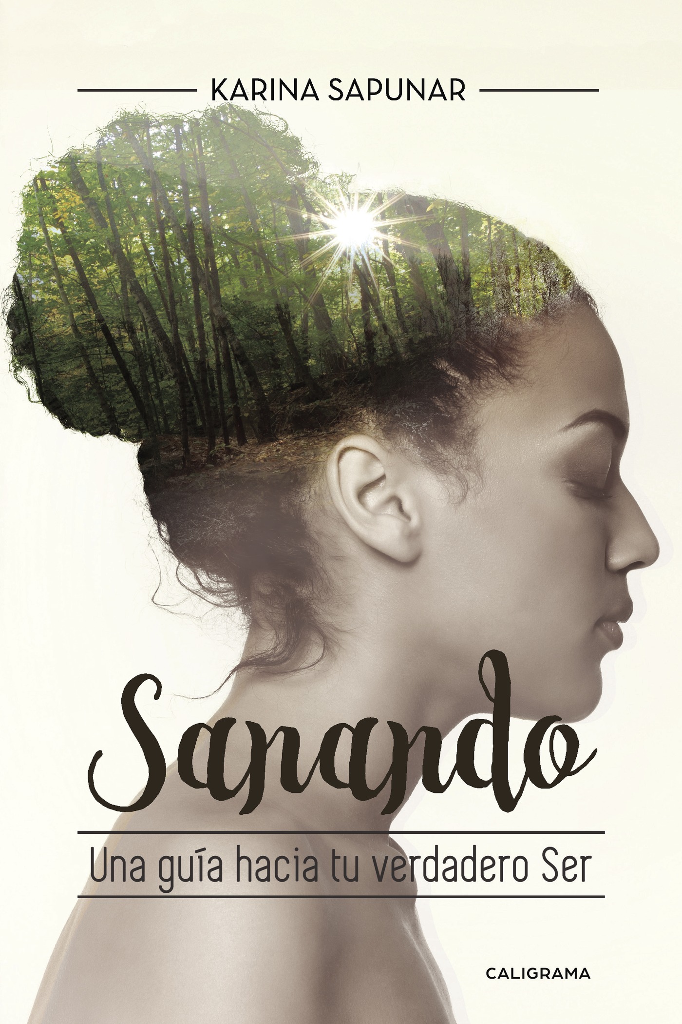 Portada de Sanando · Karina Sapunar