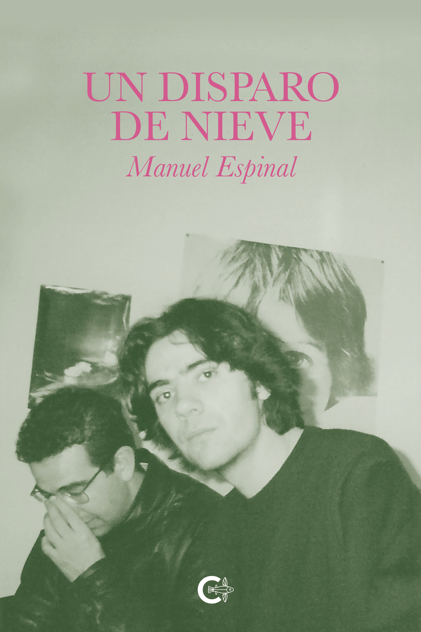 Portada de Un disparo de nieve