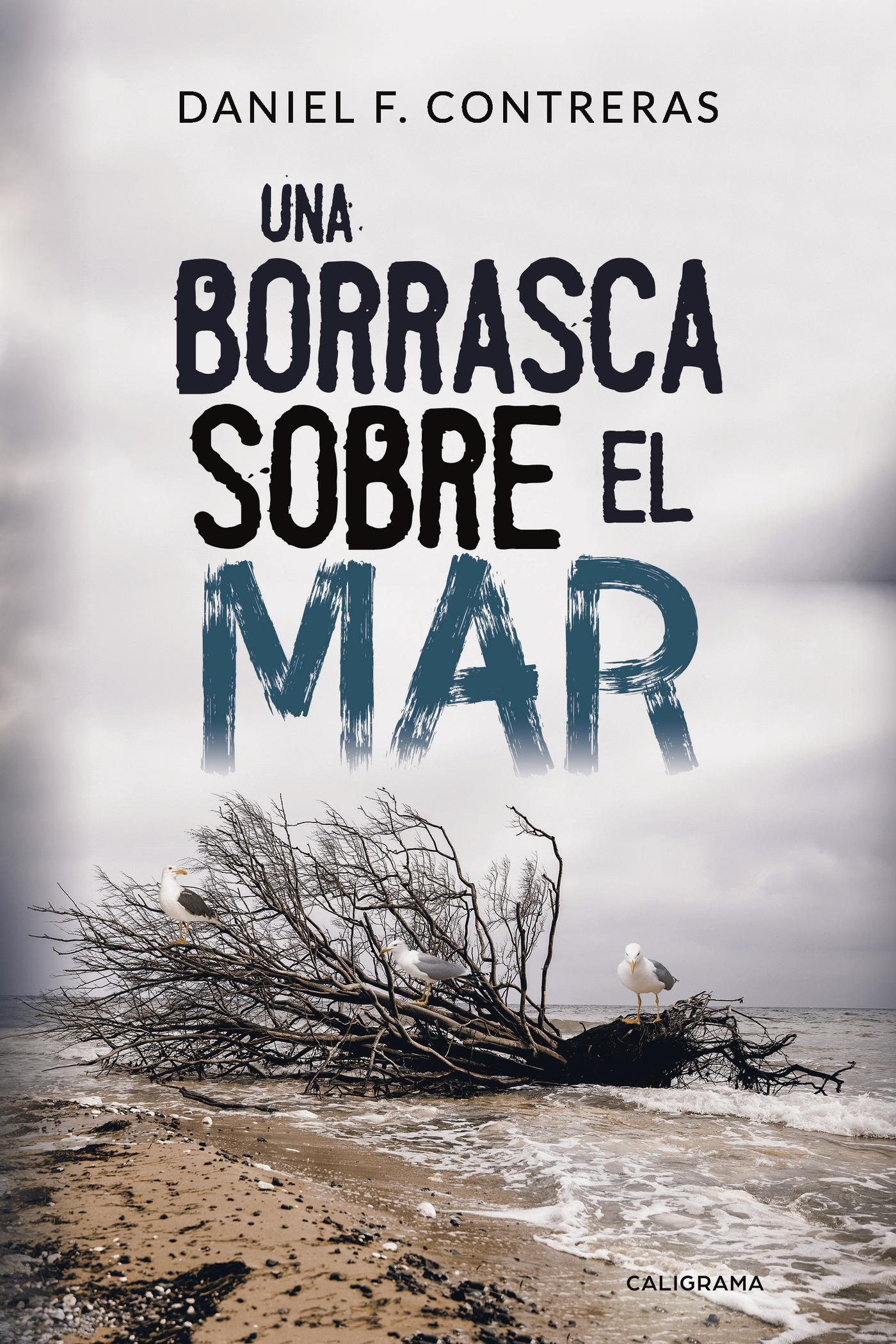 Portada de Una borrasca sobre el mar