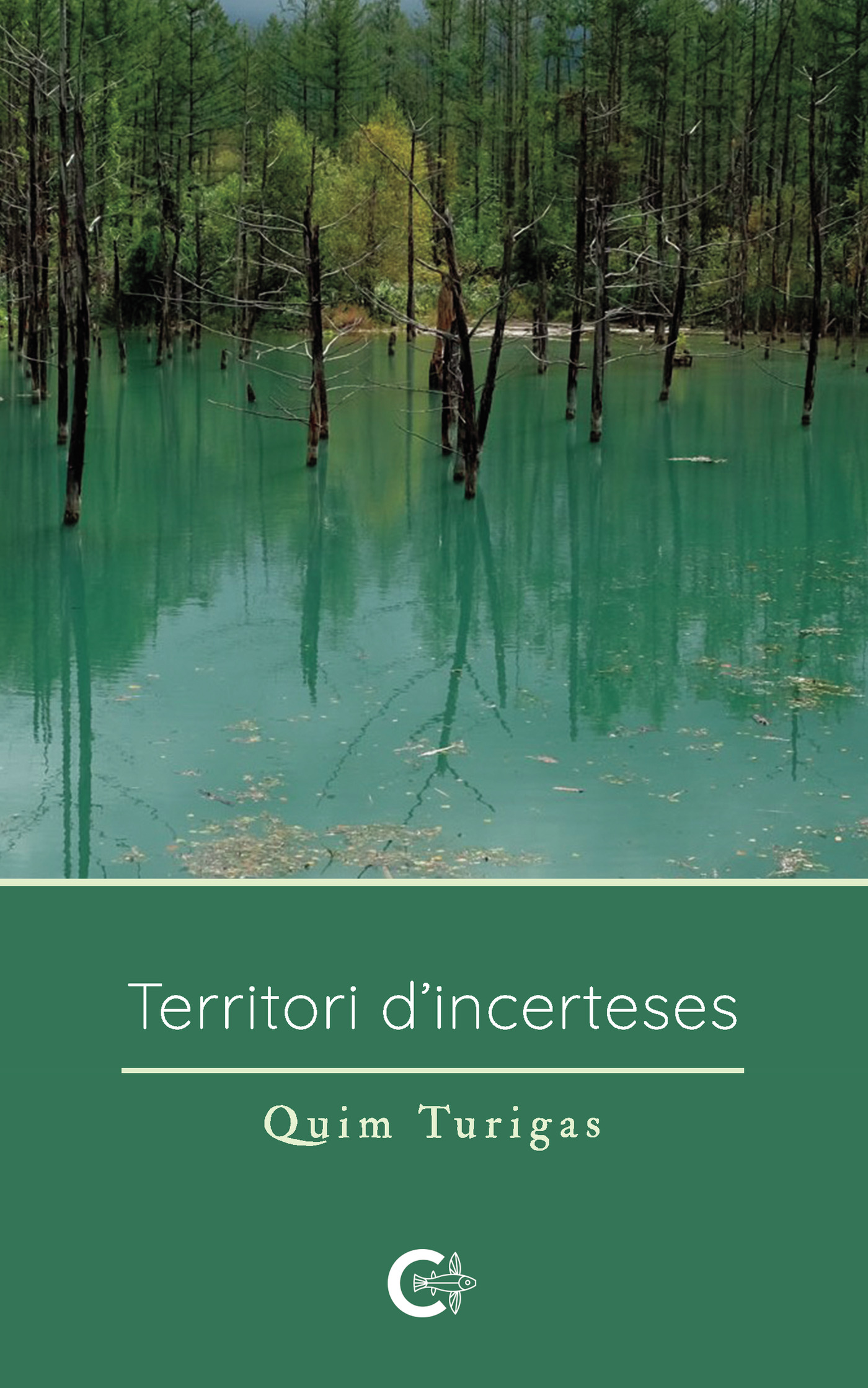Portada de Territori dincerteses