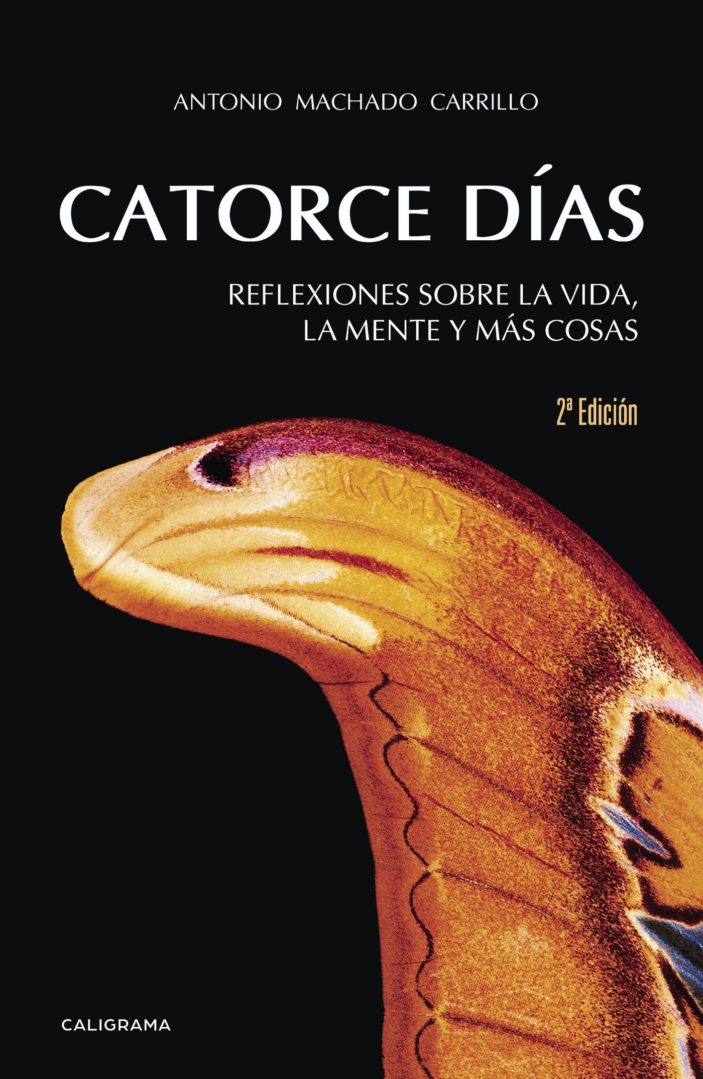 Portada de Catorce días
