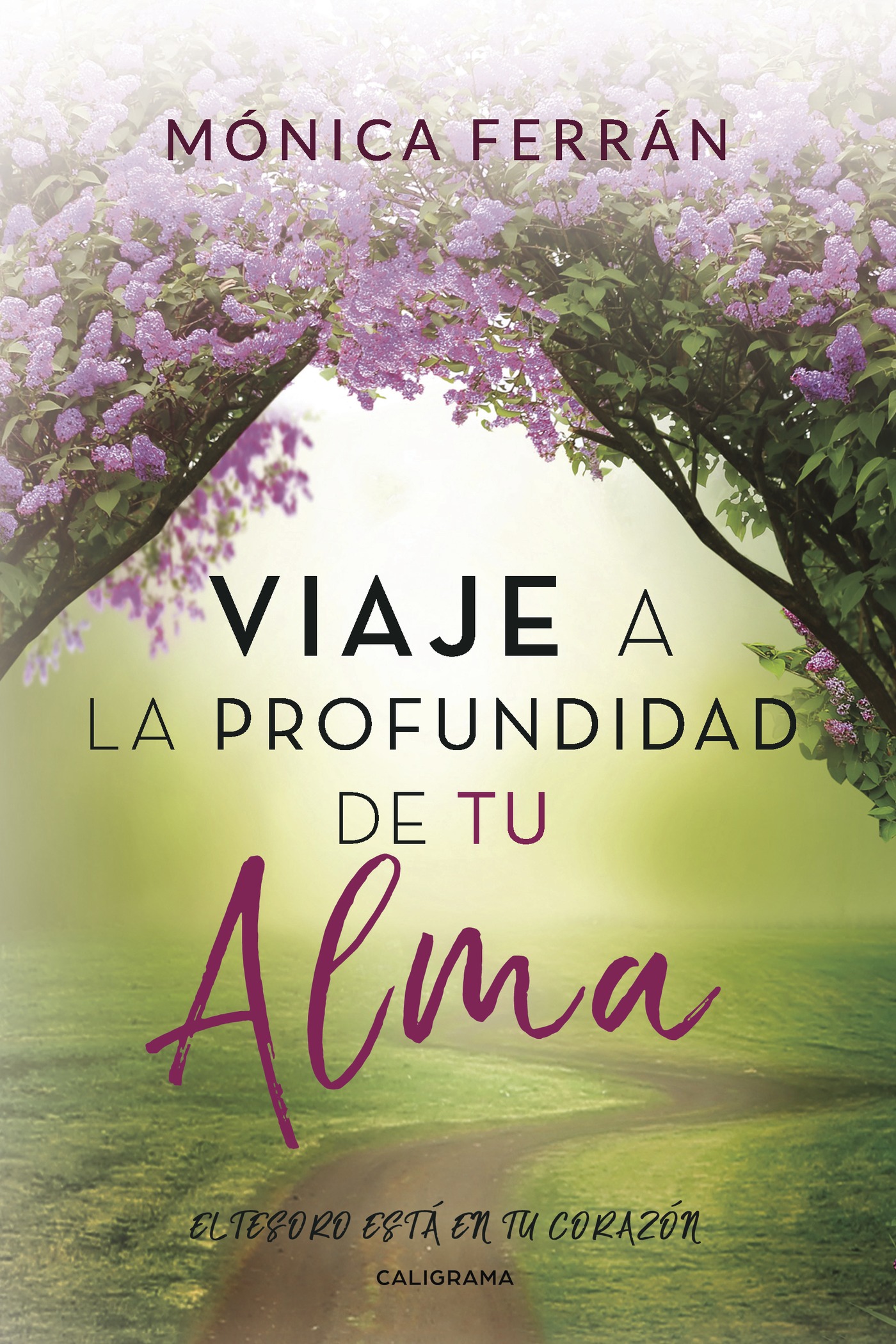 Portada de Viaje a la profundidad de tu alma