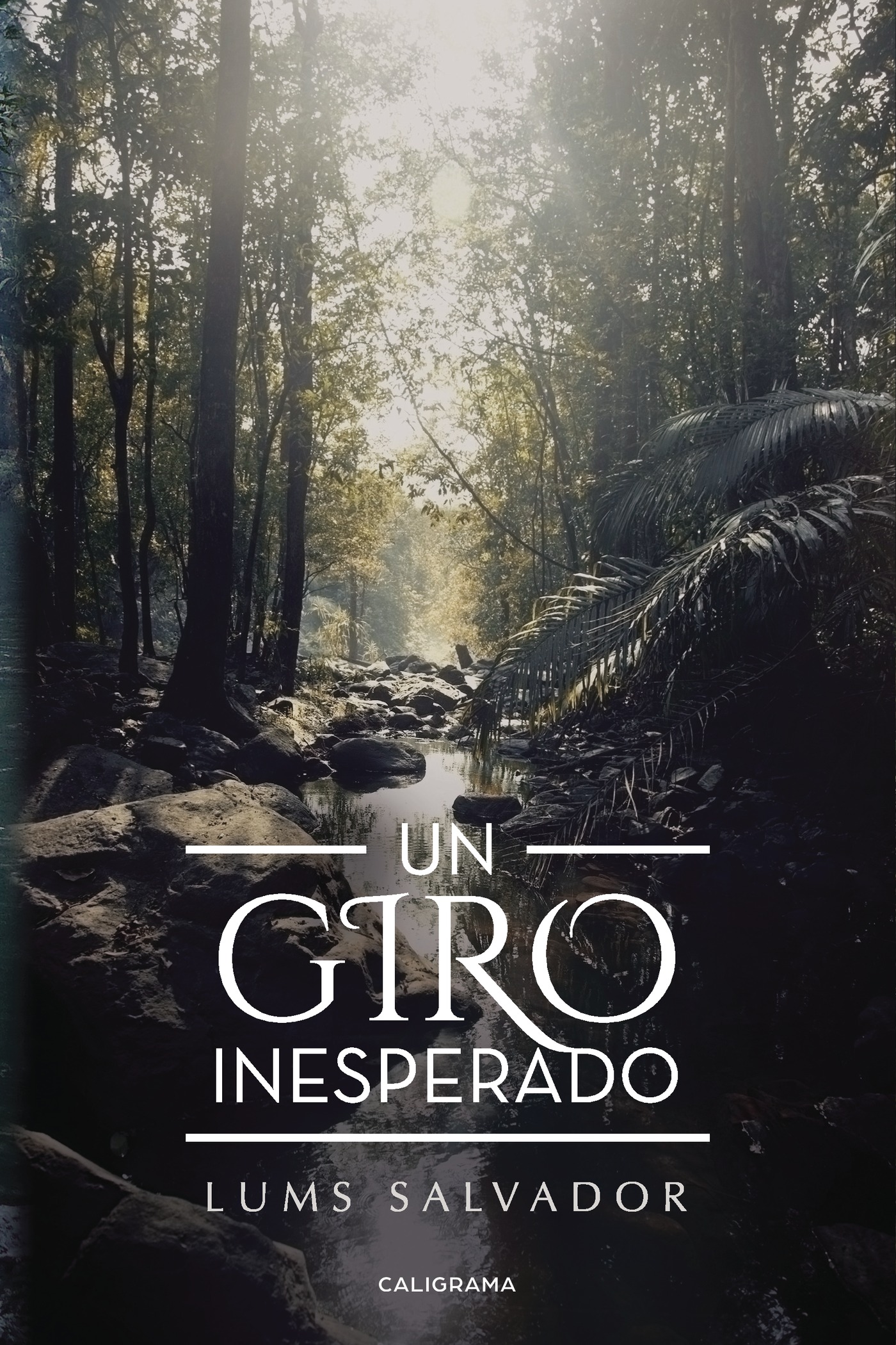 Portada de Un giro inesperado