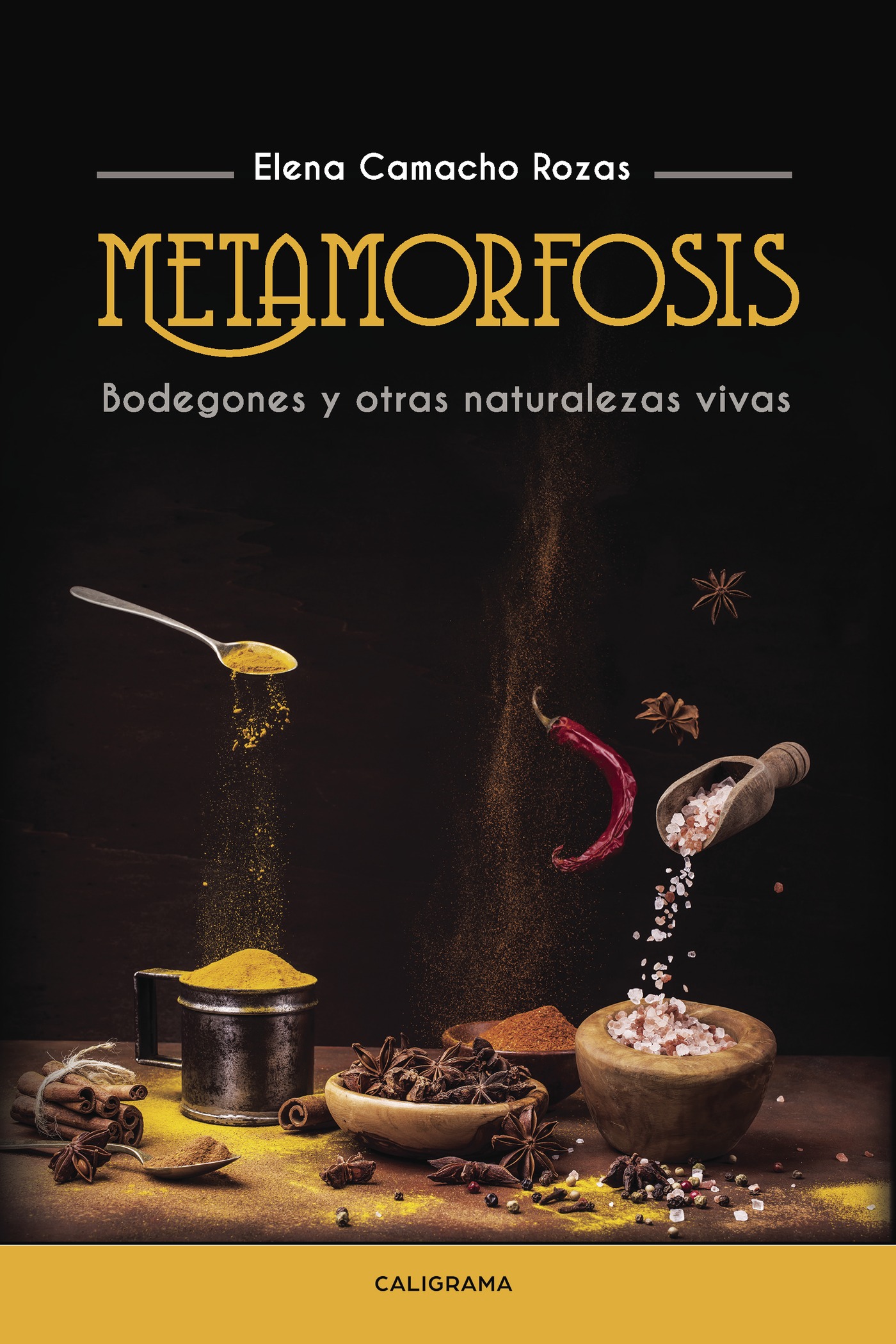 Portada de Metamorfosis