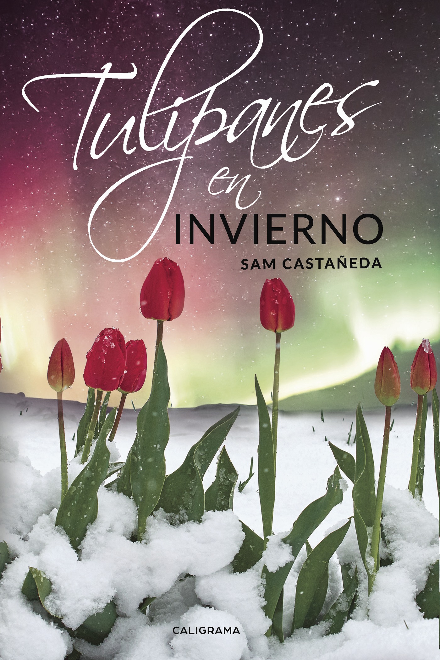 Portada de Tulipanes en invierno · Sam Castañeda