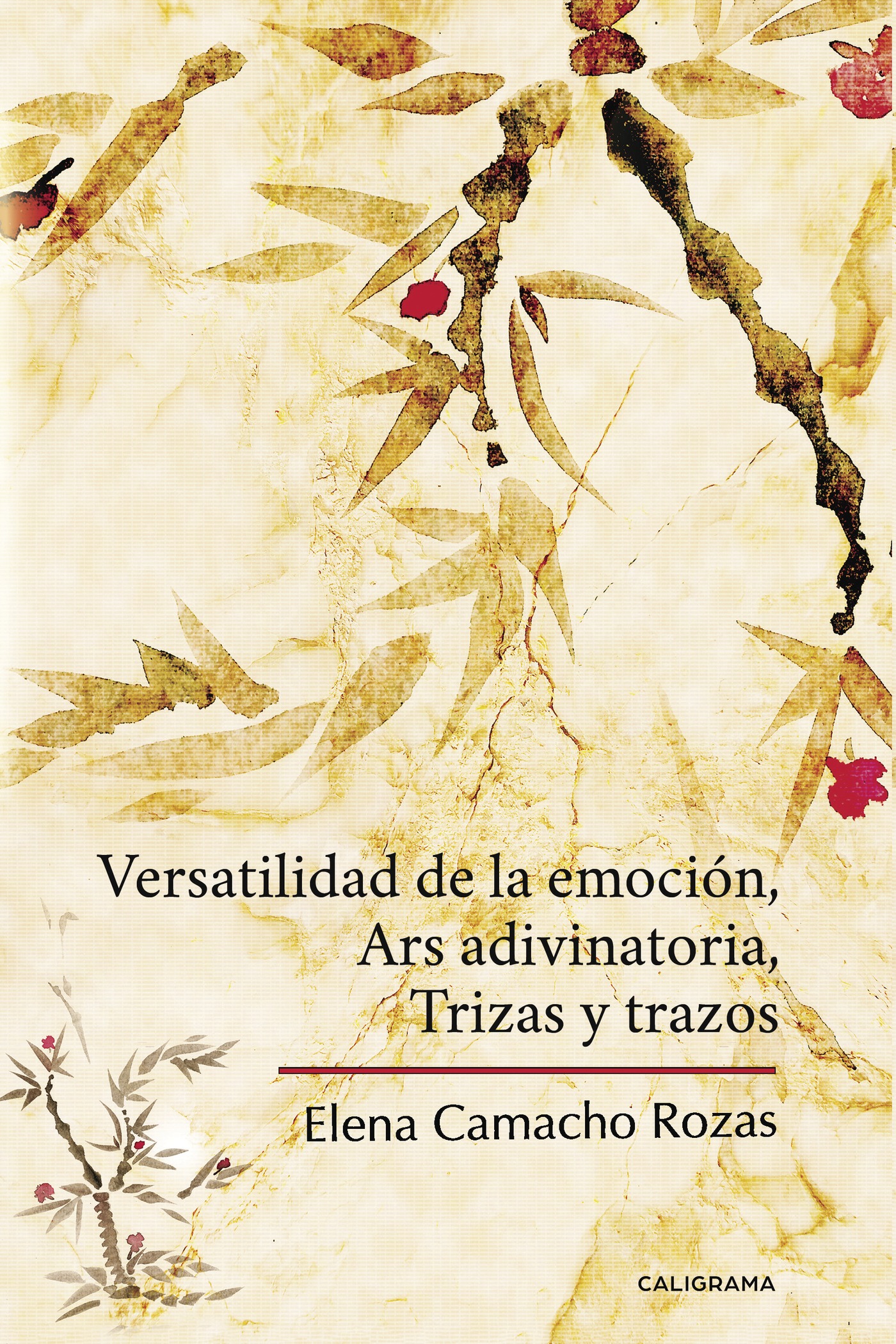 Portada de Versatilidad de la emoción, Ars adivinatoria, Trizas y trazos