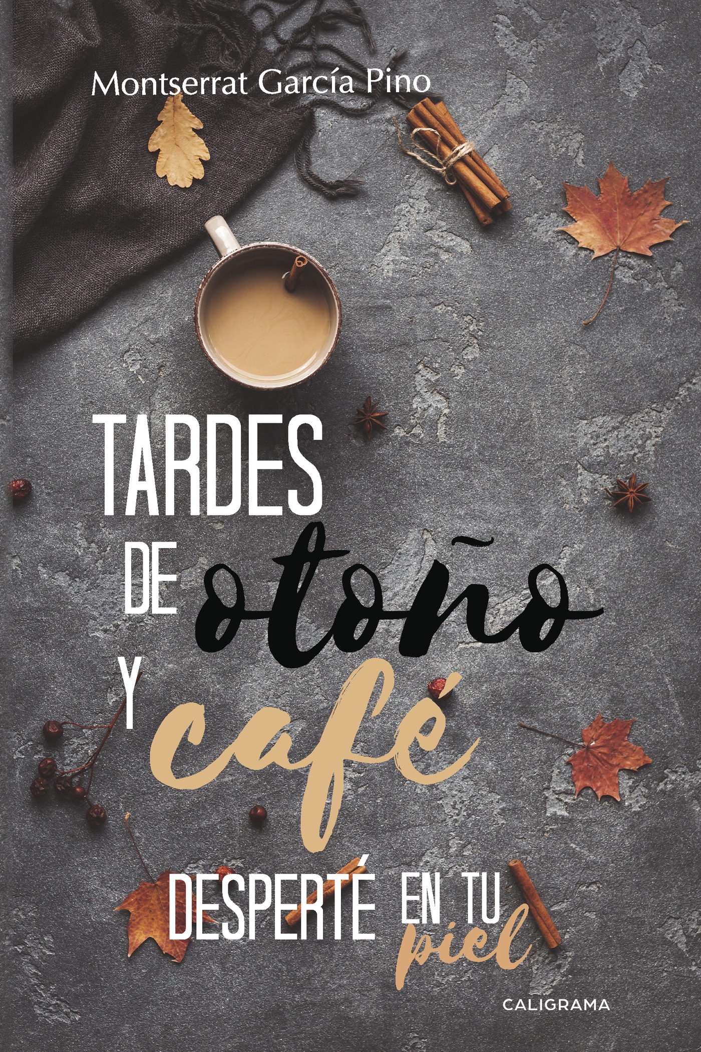 Portada de Tardes de otoño y café Desperté en tu piel