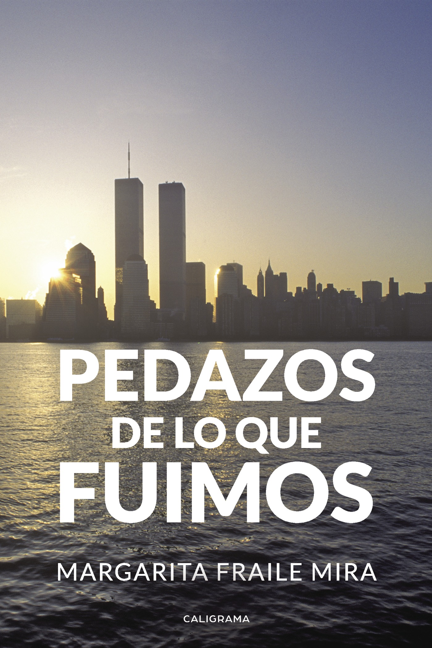Portada de Pedazos de lo que fuimos