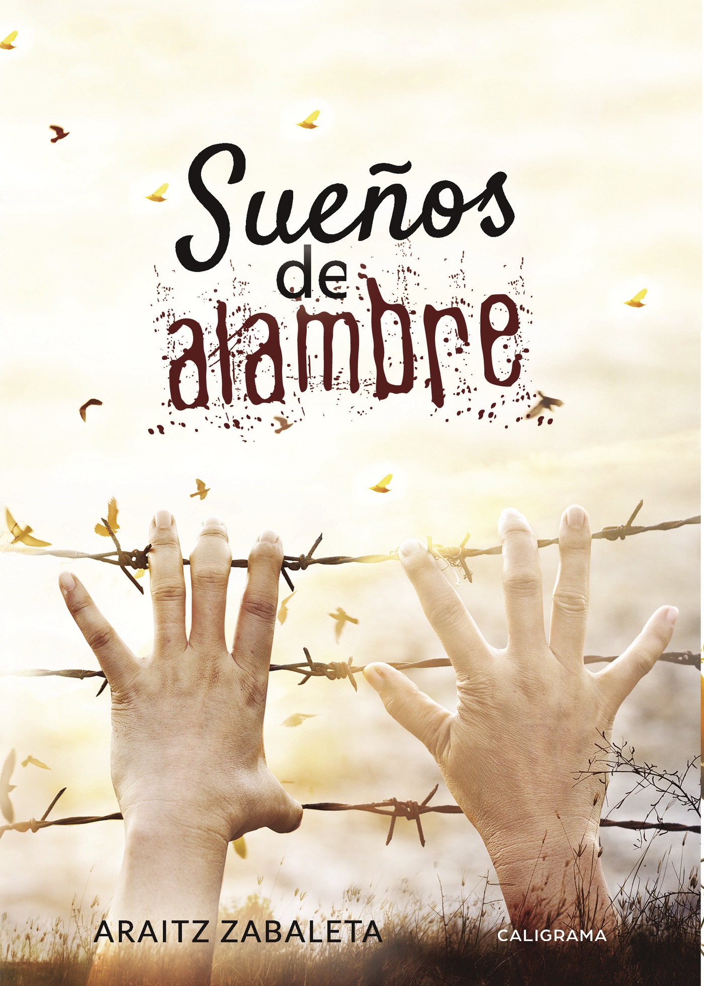 Portada de Sueños de alambre
