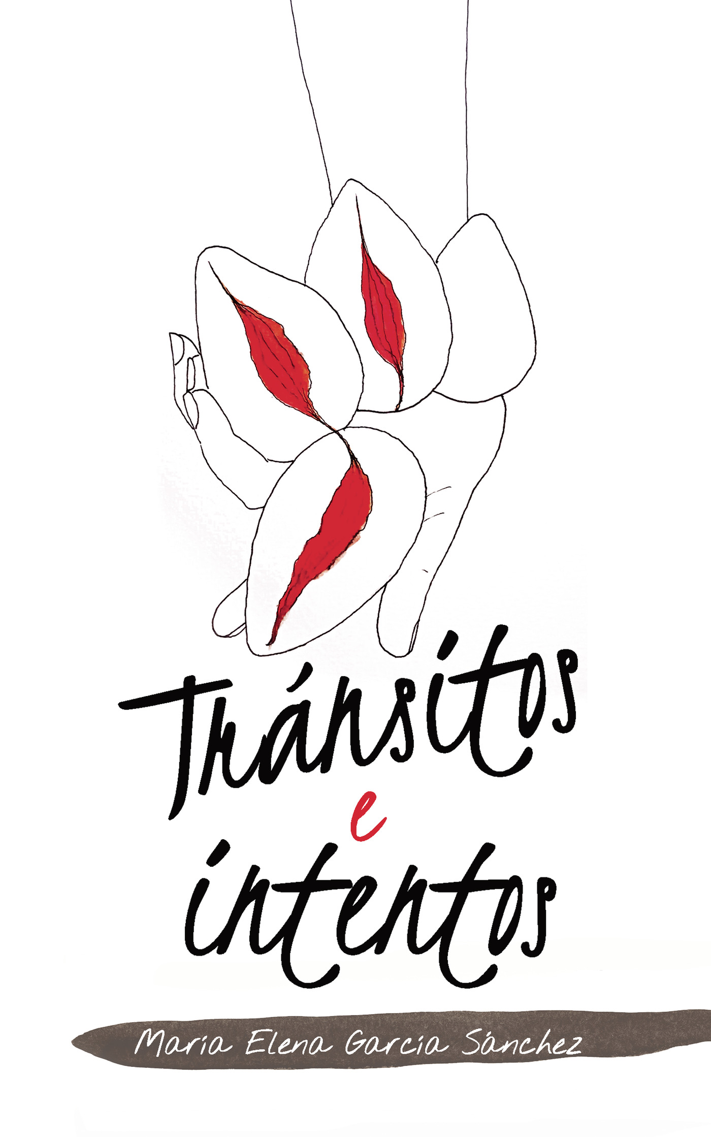 Portada de Tránsitos e intentos