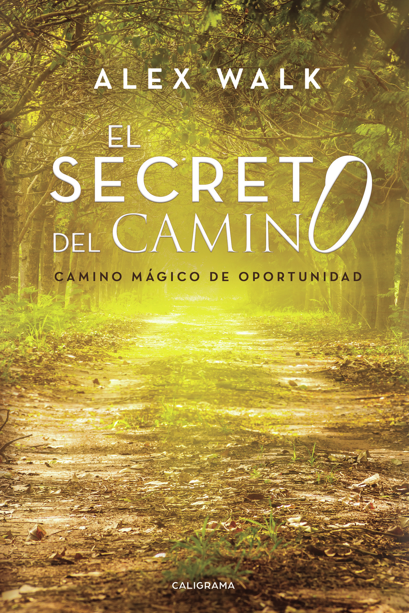 Portada de El secreto del camino