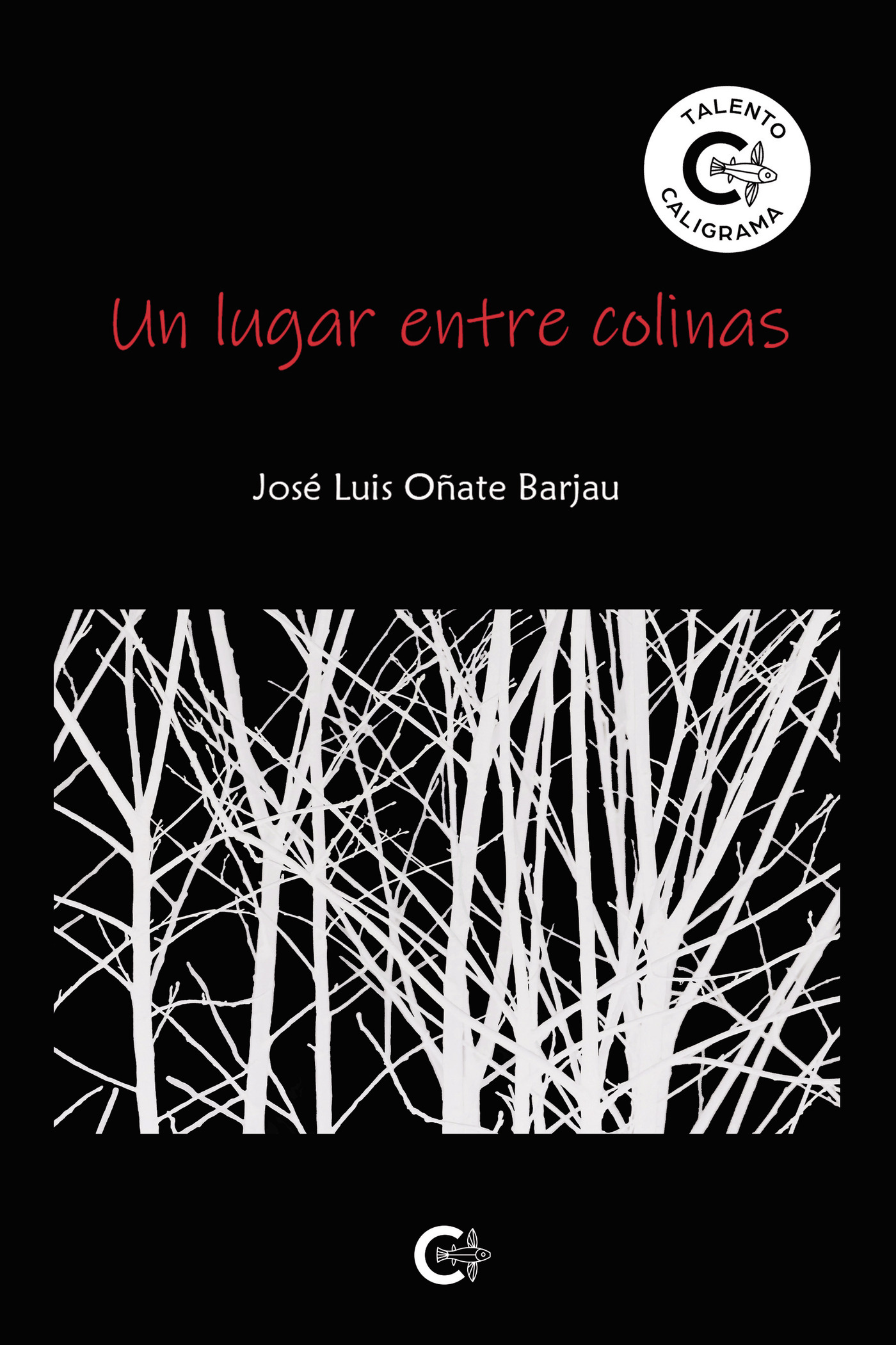 Portada de Un lugar entre colinas