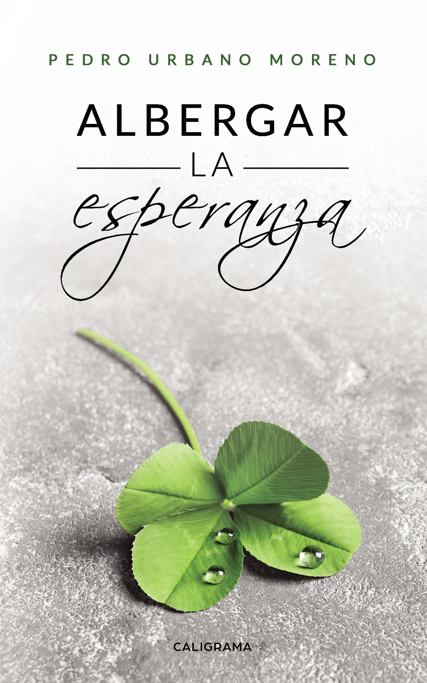 Portada de Albergar la esperanza