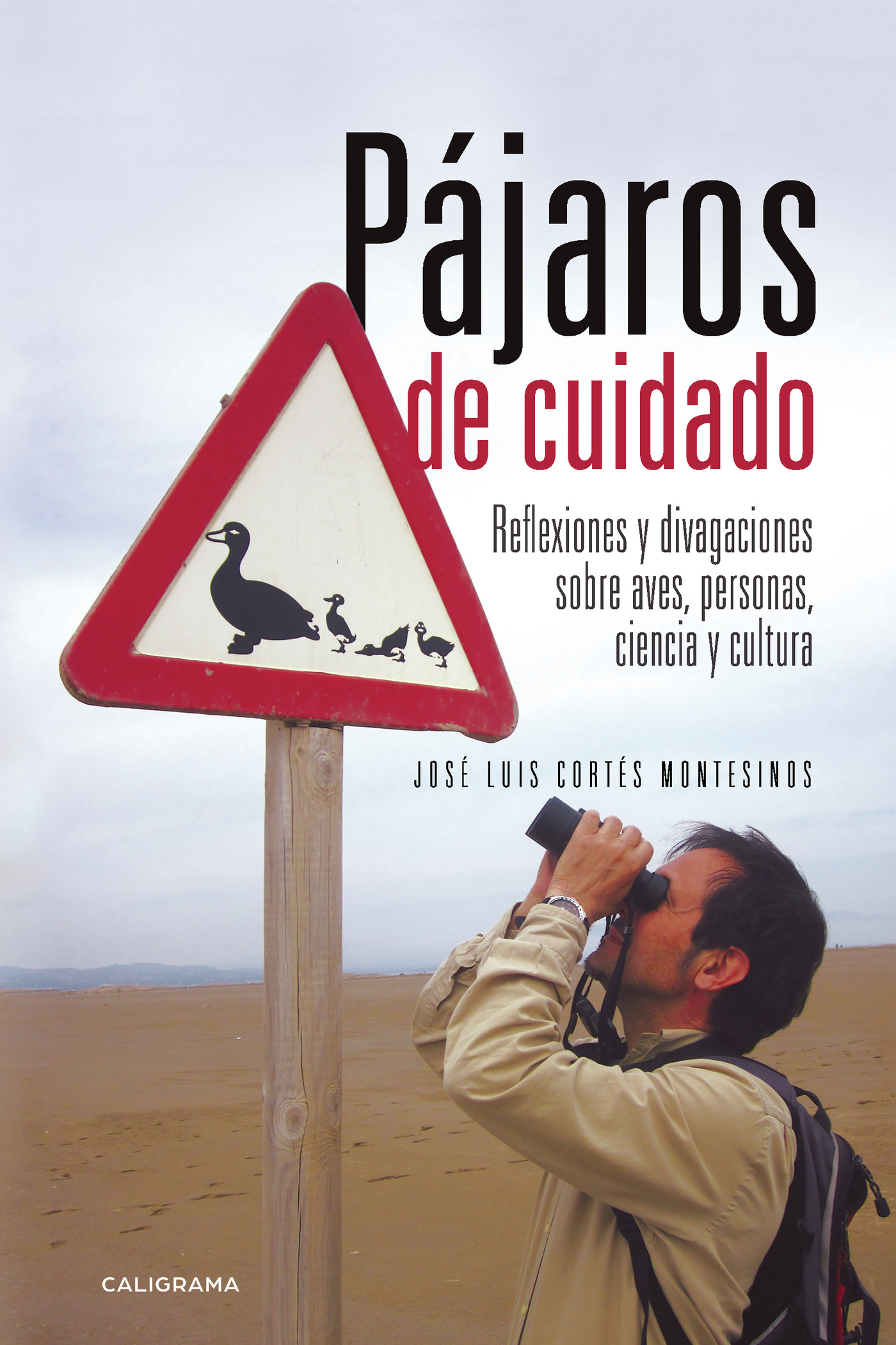 Portada de Pájaros de cuidado
