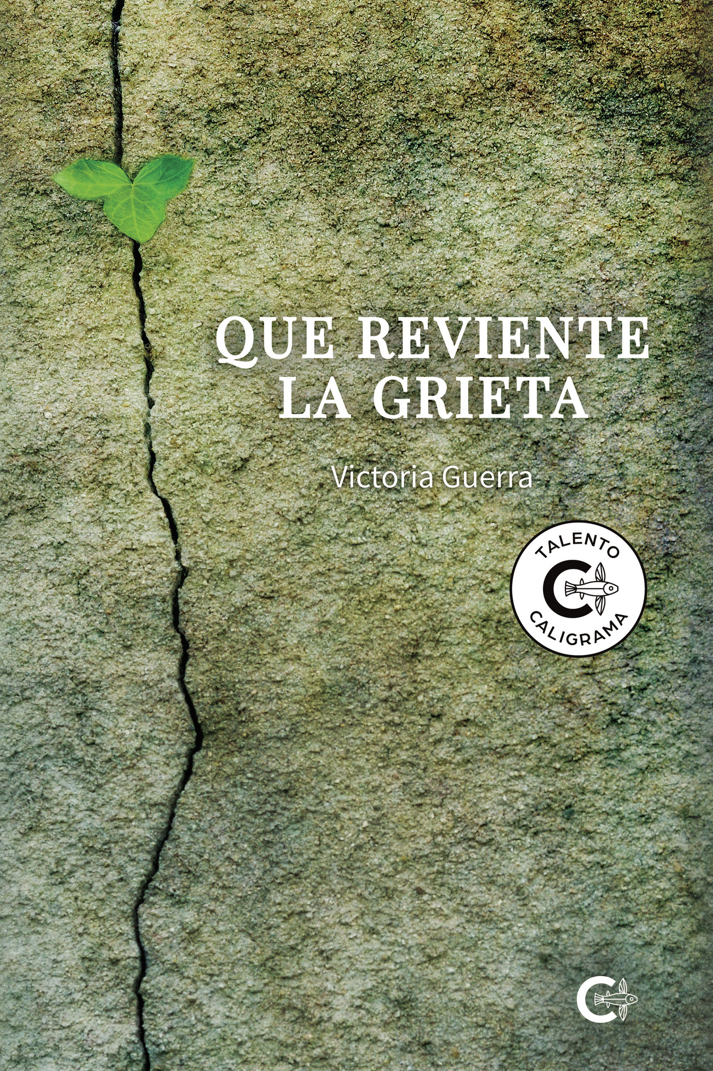 Portada de Que reviente la grieta