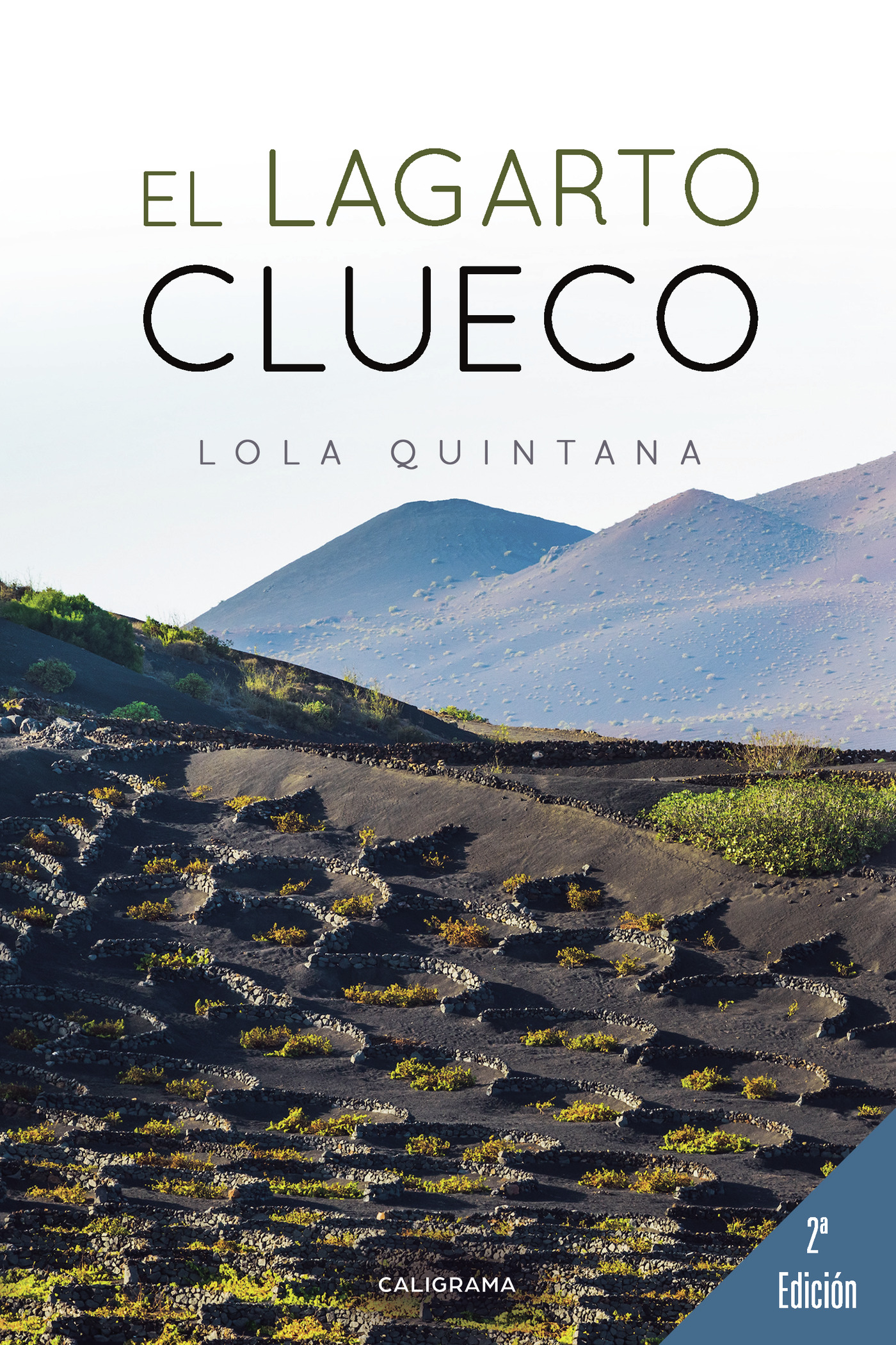 Portada de El lagarto clueco