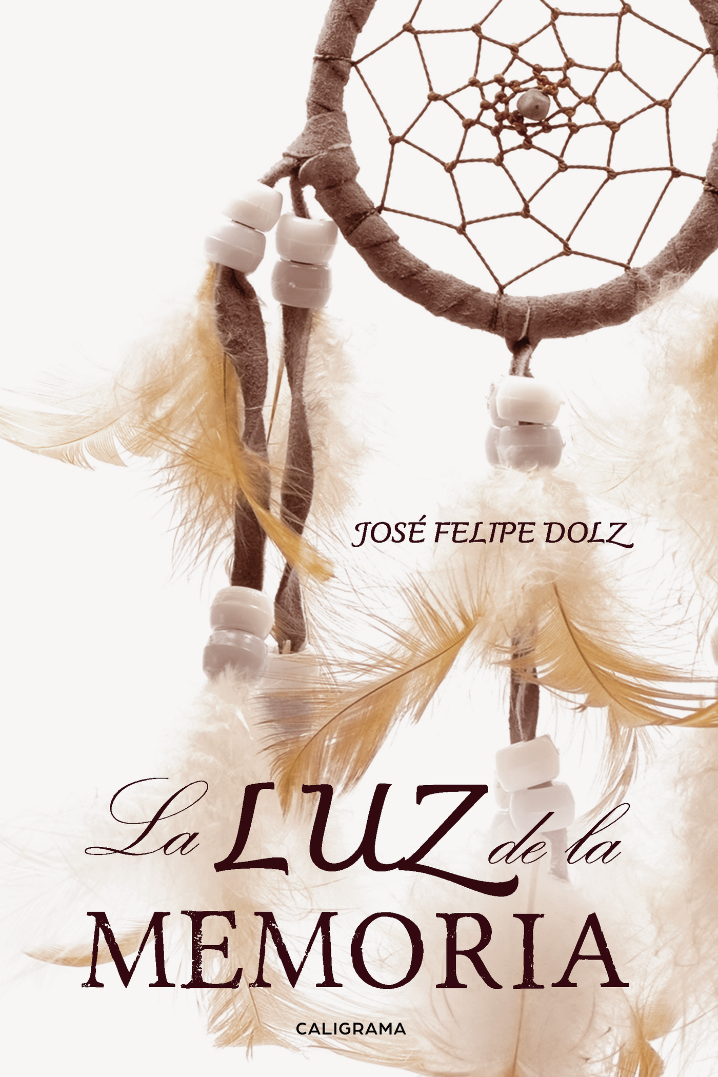 Portada de La luz de la memoria · José Felipe Dolz