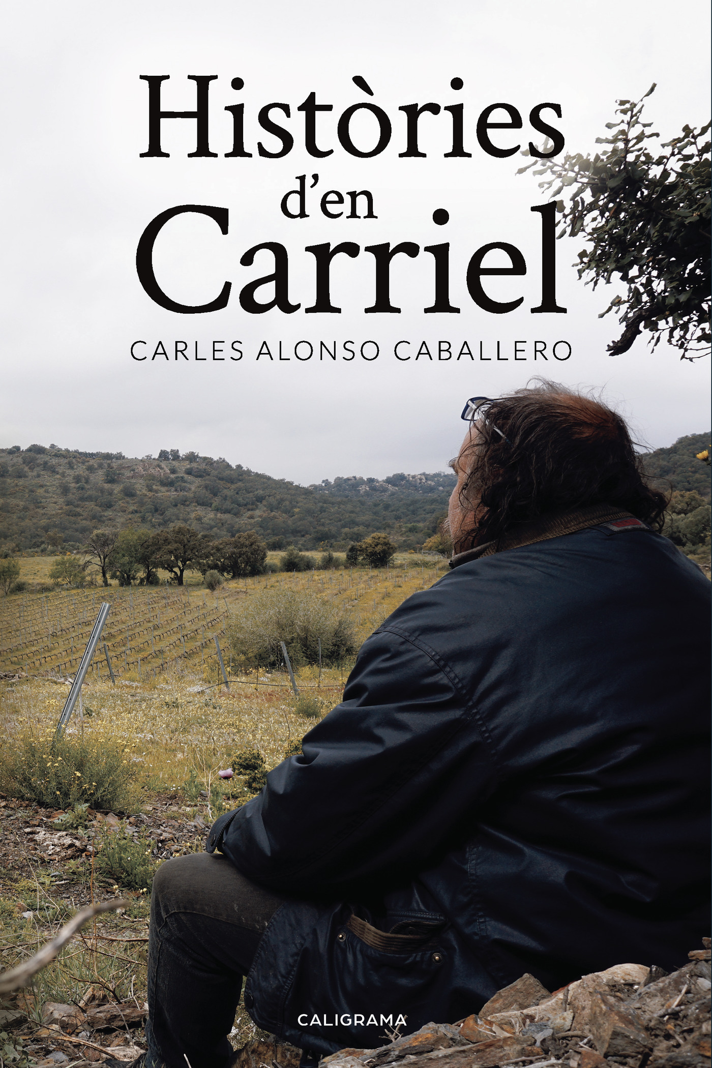 Portada de Històries den Carriel