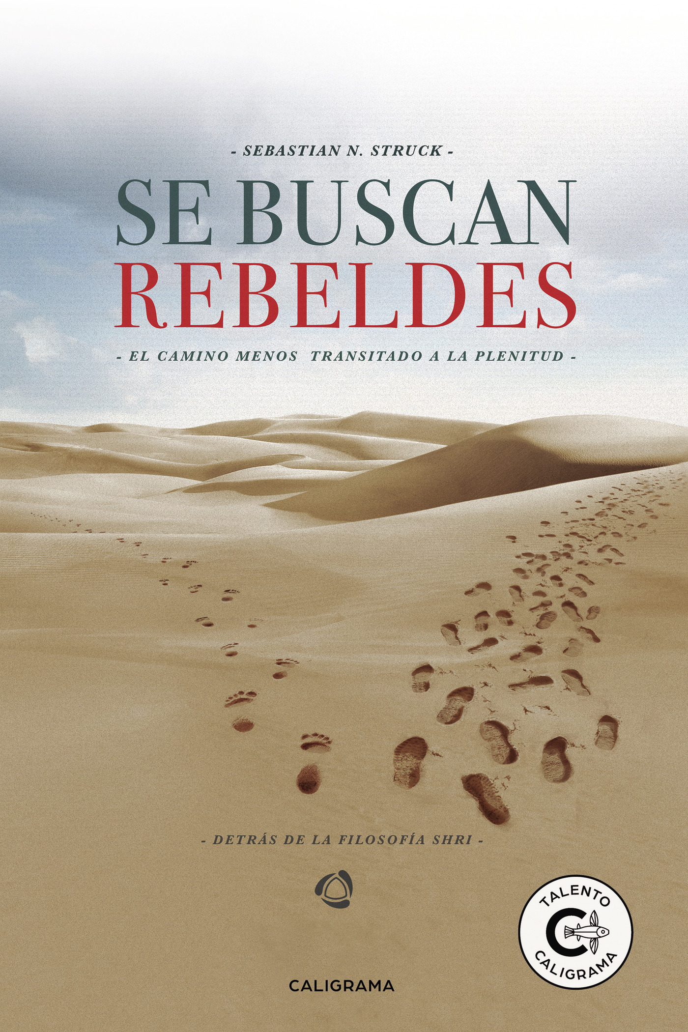 Portada de Se buscan rebeldes