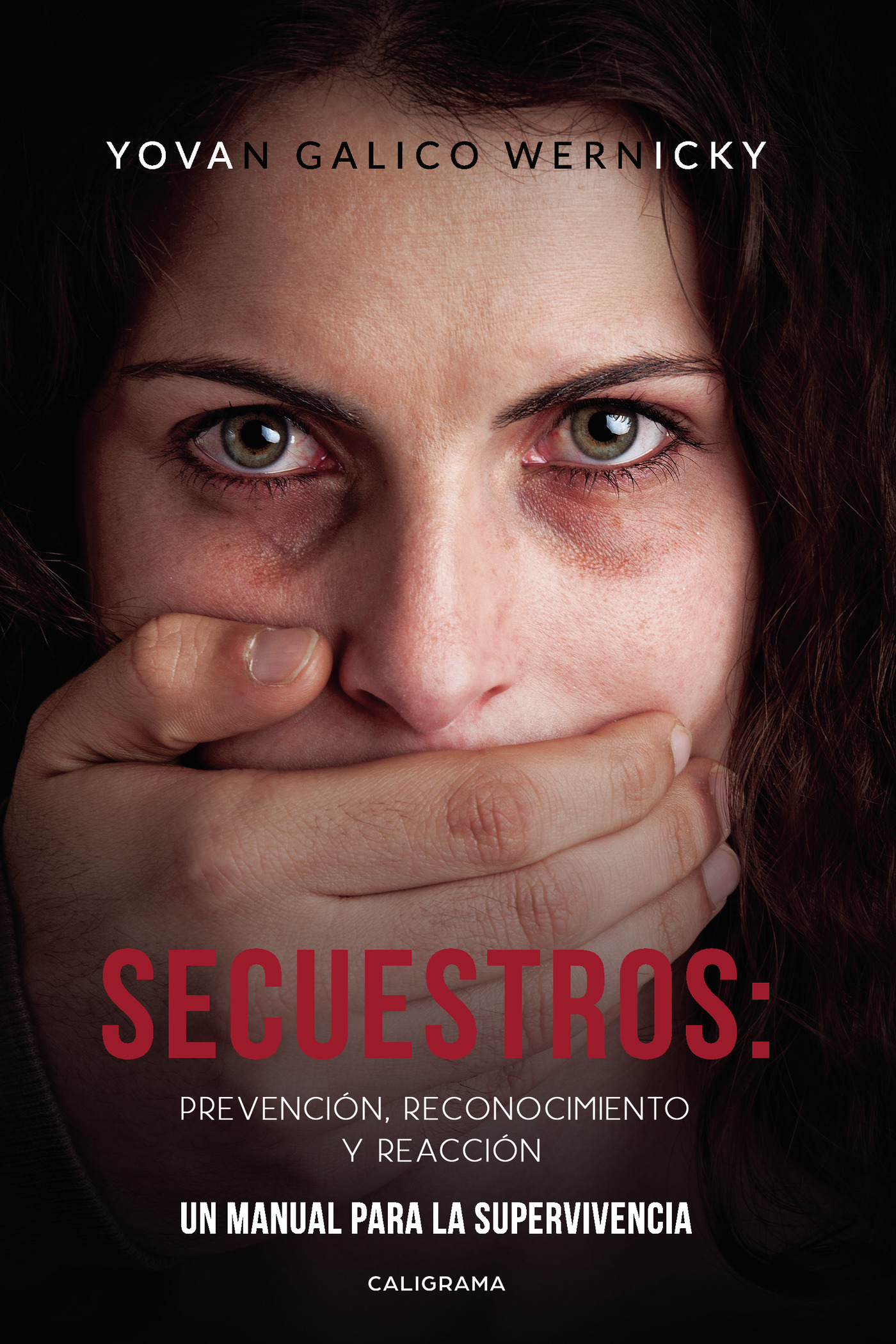 Portada de Secuestros: prevención, reconocimiento y reacción