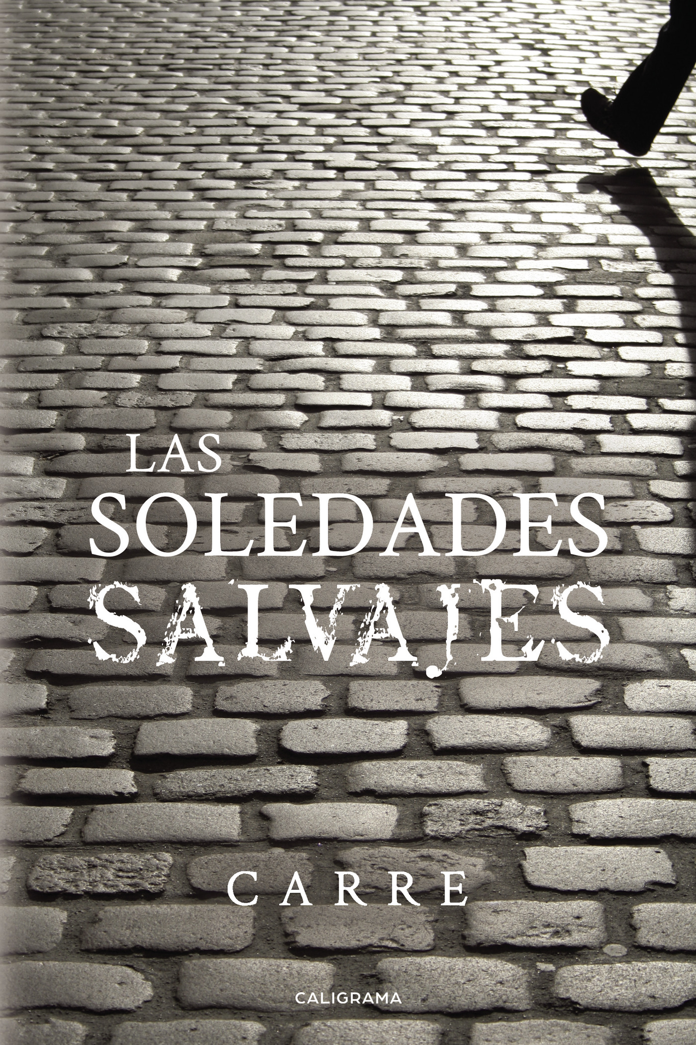 Portada de Las soledades salvajes