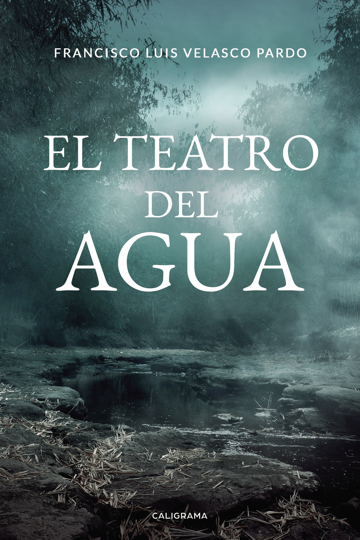 Portada de El teatro del agua